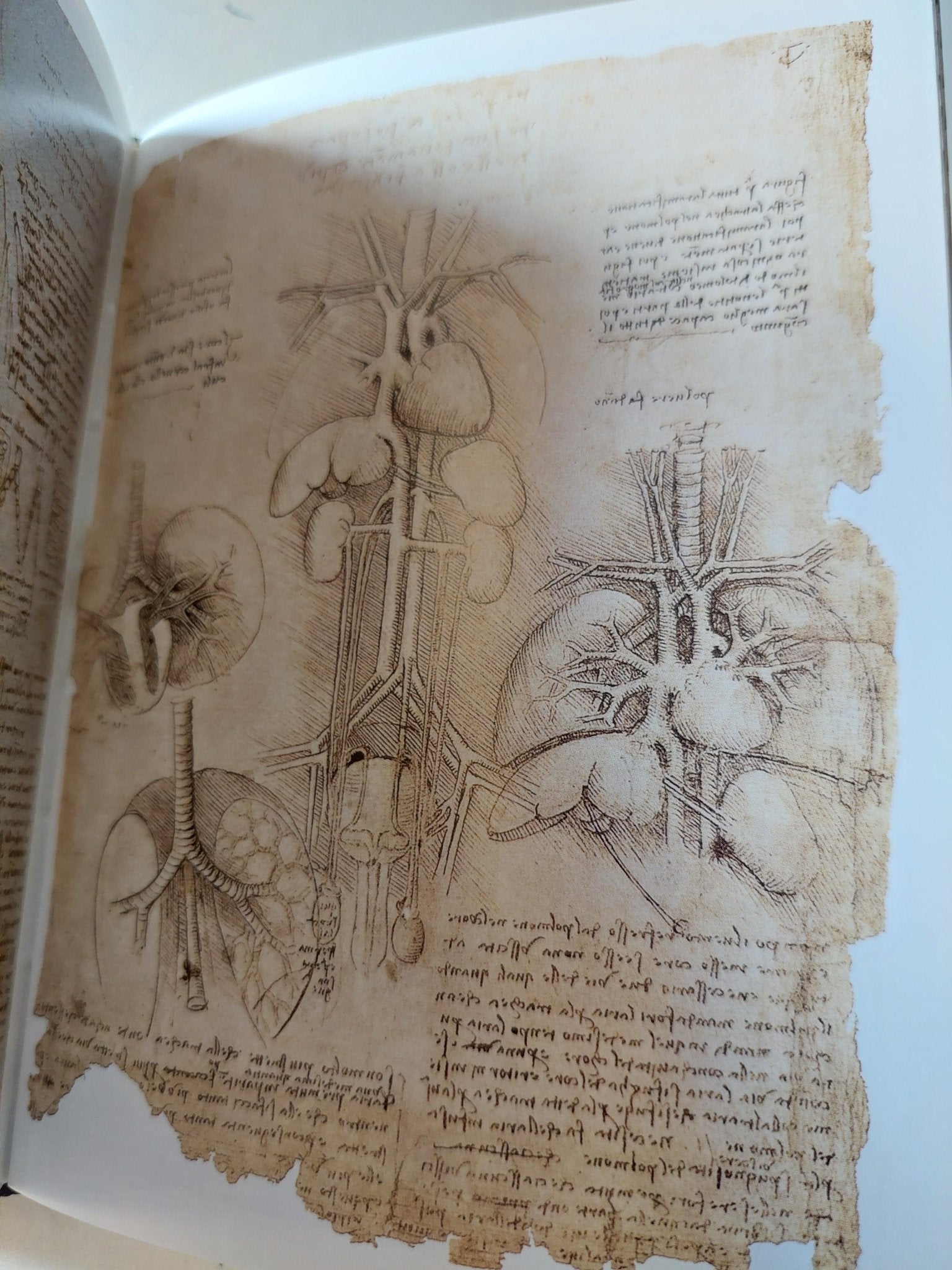 Leonardo Da Vinci .. artist scientist inventor - هارد كفر - متجر كتب مصر - متجر كتب مصر