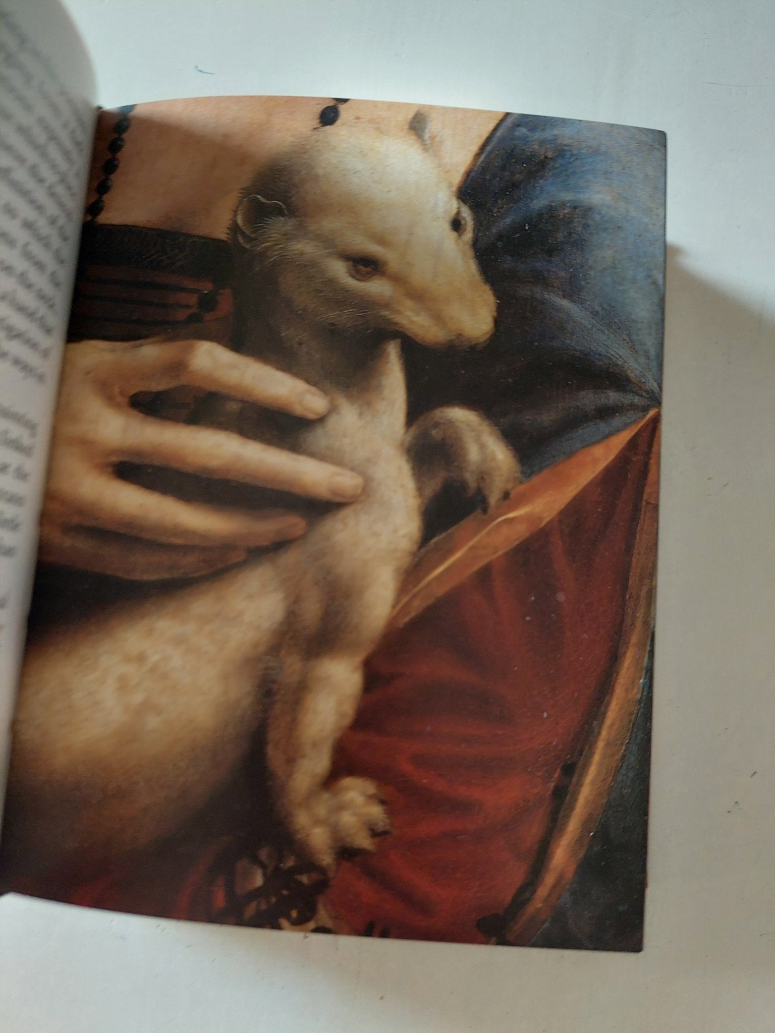 Leonardo Da Vinci .. artist scientist inventor - هارد كفر - متجر كتب مصر - متجر كتب مصر