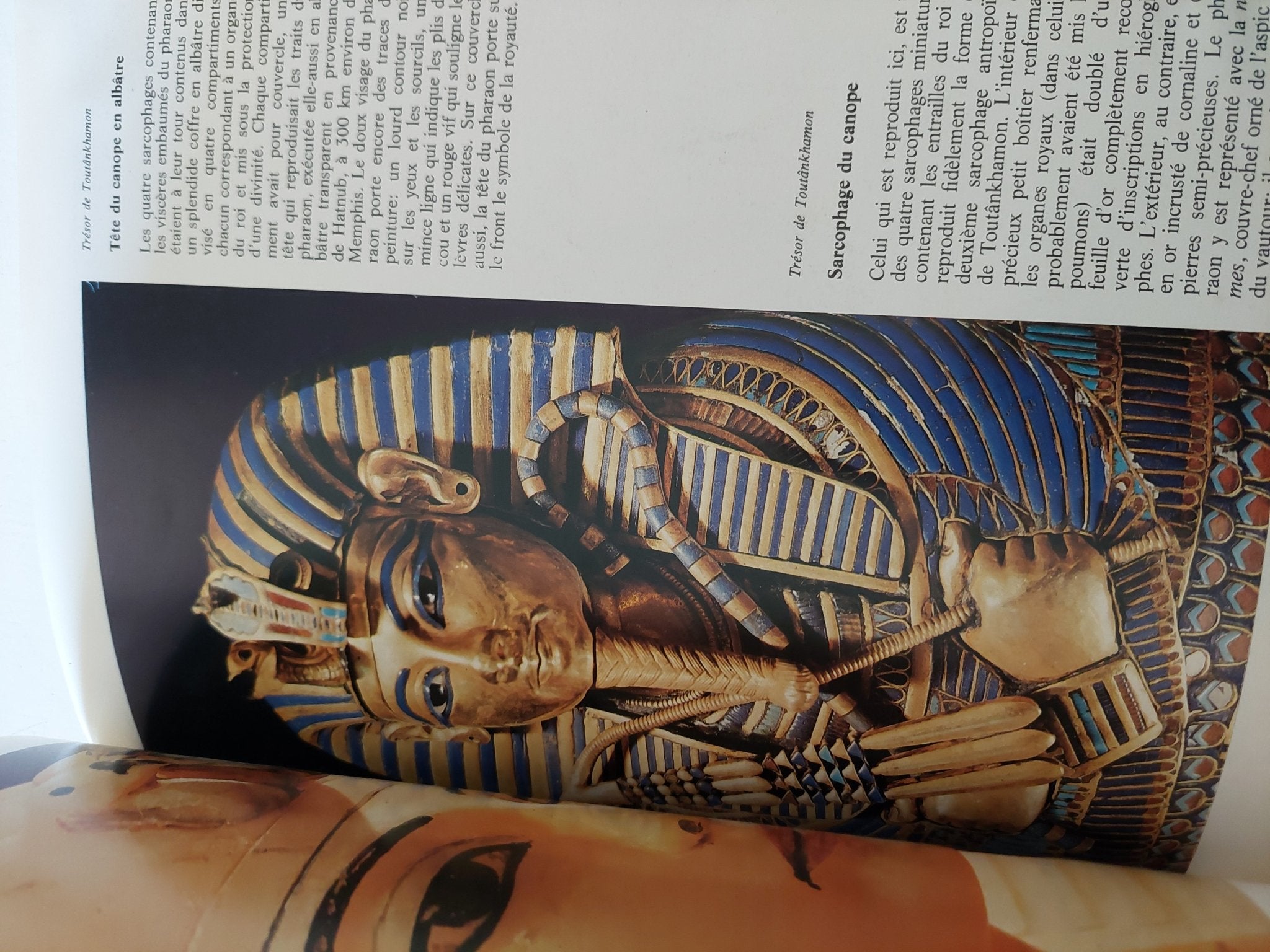 Les chefs - D'oeuvre du Musee Egyptian - قطع كبير ملحق بالصور - متجر كتب مصر - متجر كتب مصر