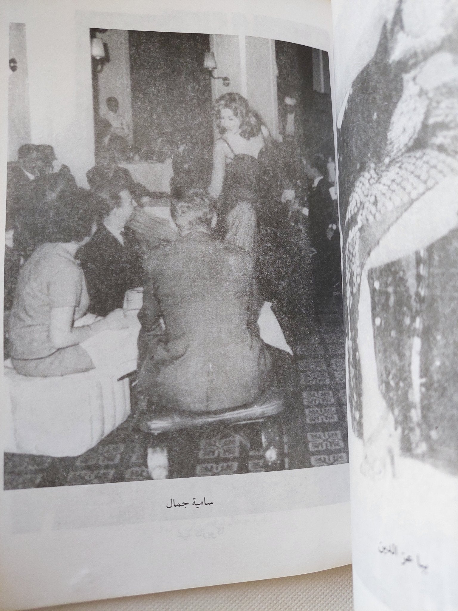 ليالى القاهرة فى عصر بديعة / حنفى المحلاوى - ملحق بالصور - متجر كتب مصر - المكتبة الفلسفية