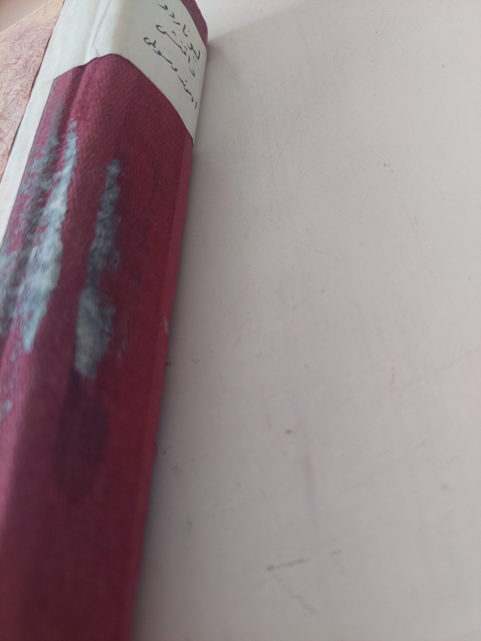 ليوناردو / إدموند وسولمى - ملحق بالصور - متجر كتب مصر - متجر كتب مصر