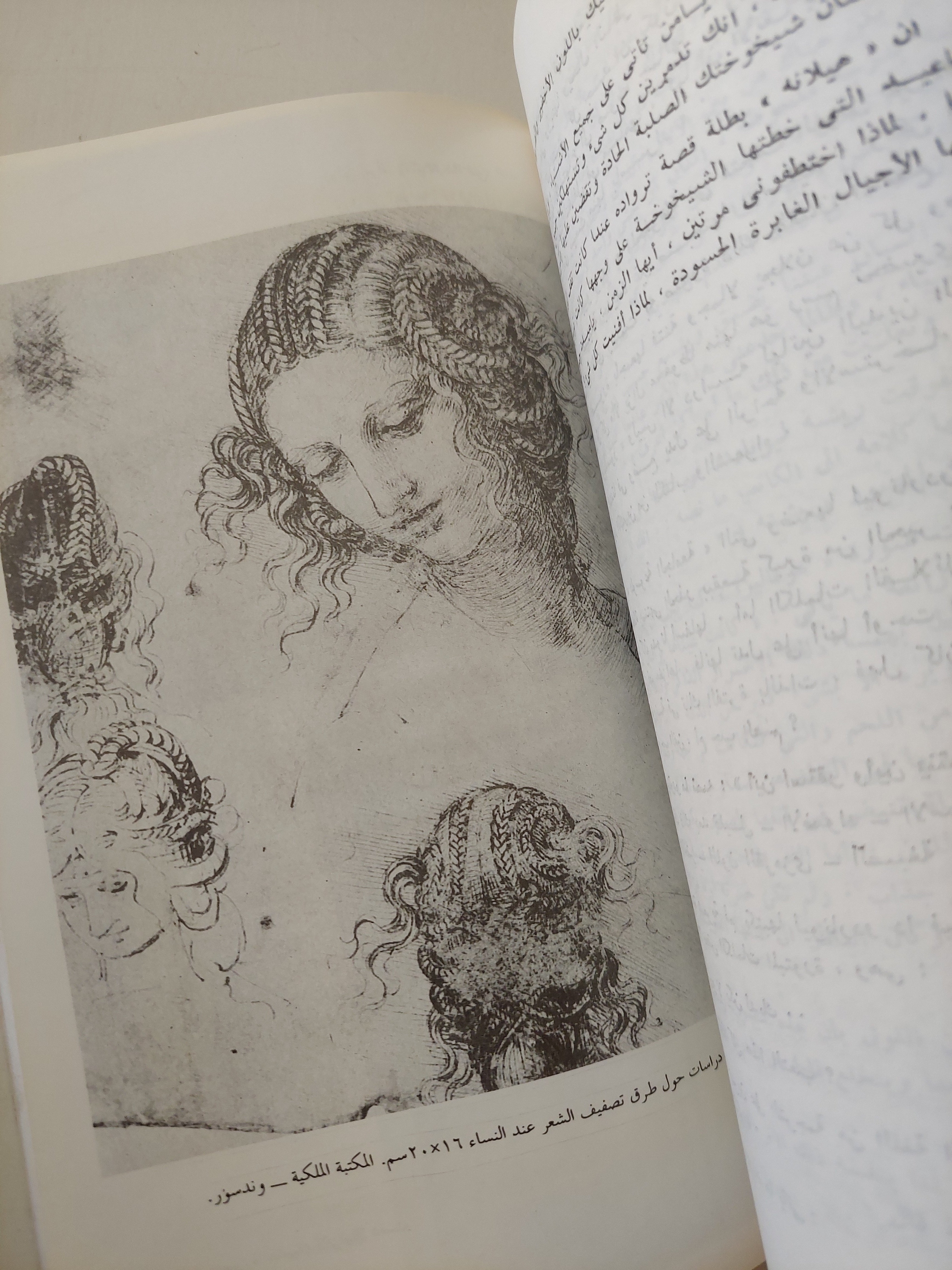 ليوناردو / ادموندو سولي - ملحق بالصور - متجر كتب مصر - متجر كتب مصر