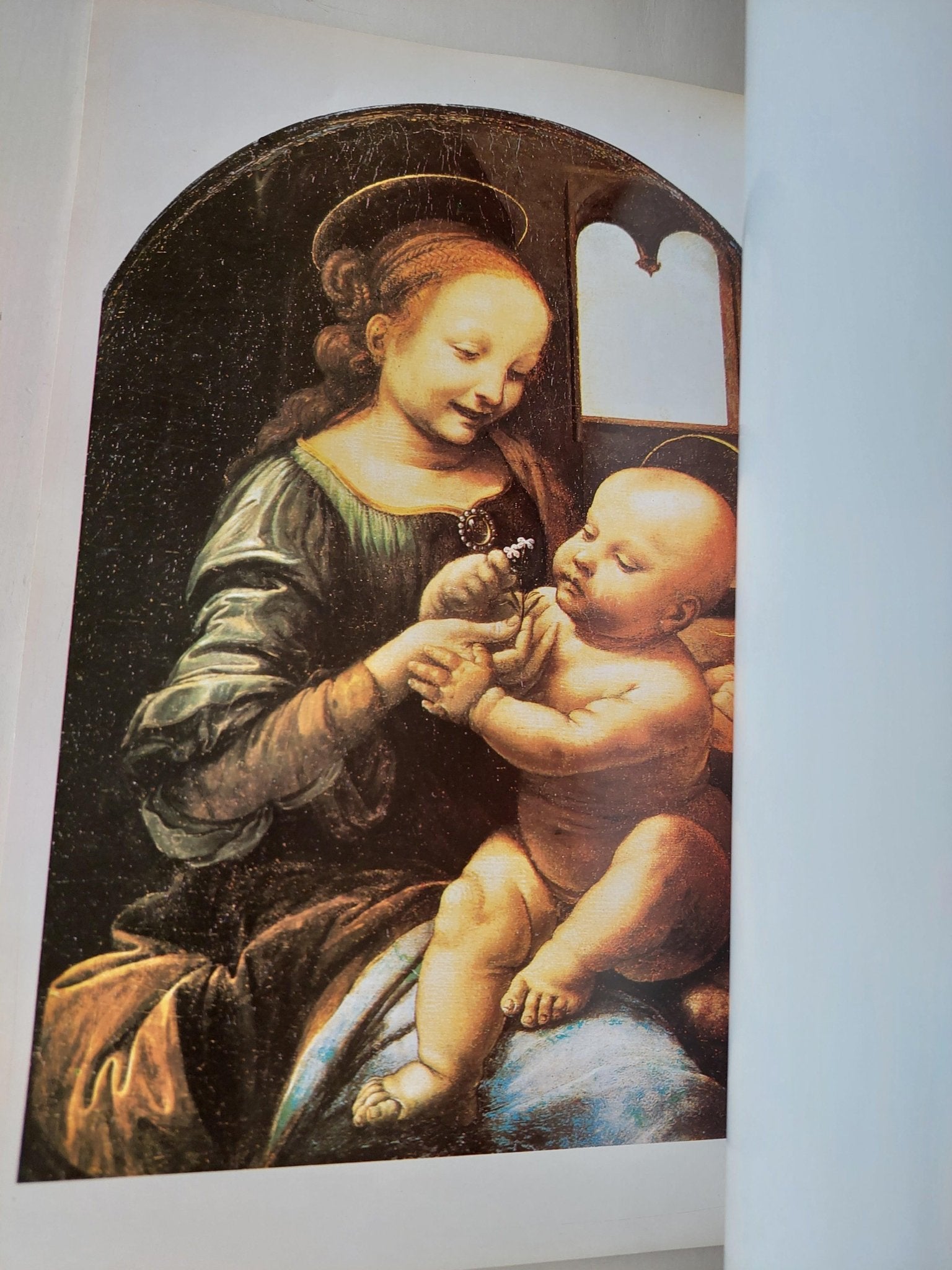 ليوناردو دافنشي / البوم صور ملونة قطع كبير - متجر كتب مصر - متجر كتب مصر