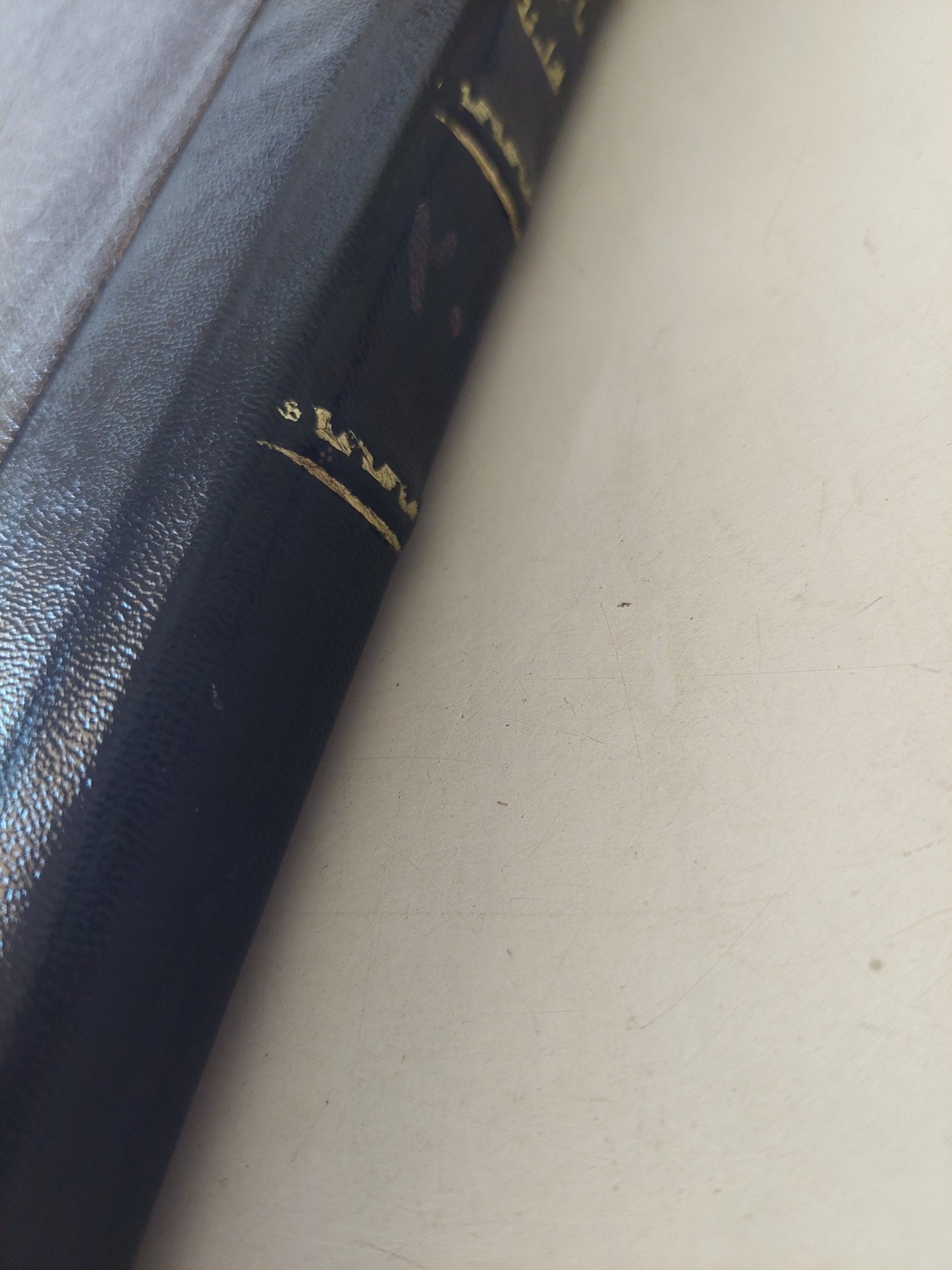 ما قبل الفلسفة - مجموعة مؤلفين / هارد كفر ١٩٦٠ - متجر كتب مصر - متجر كتب مصر