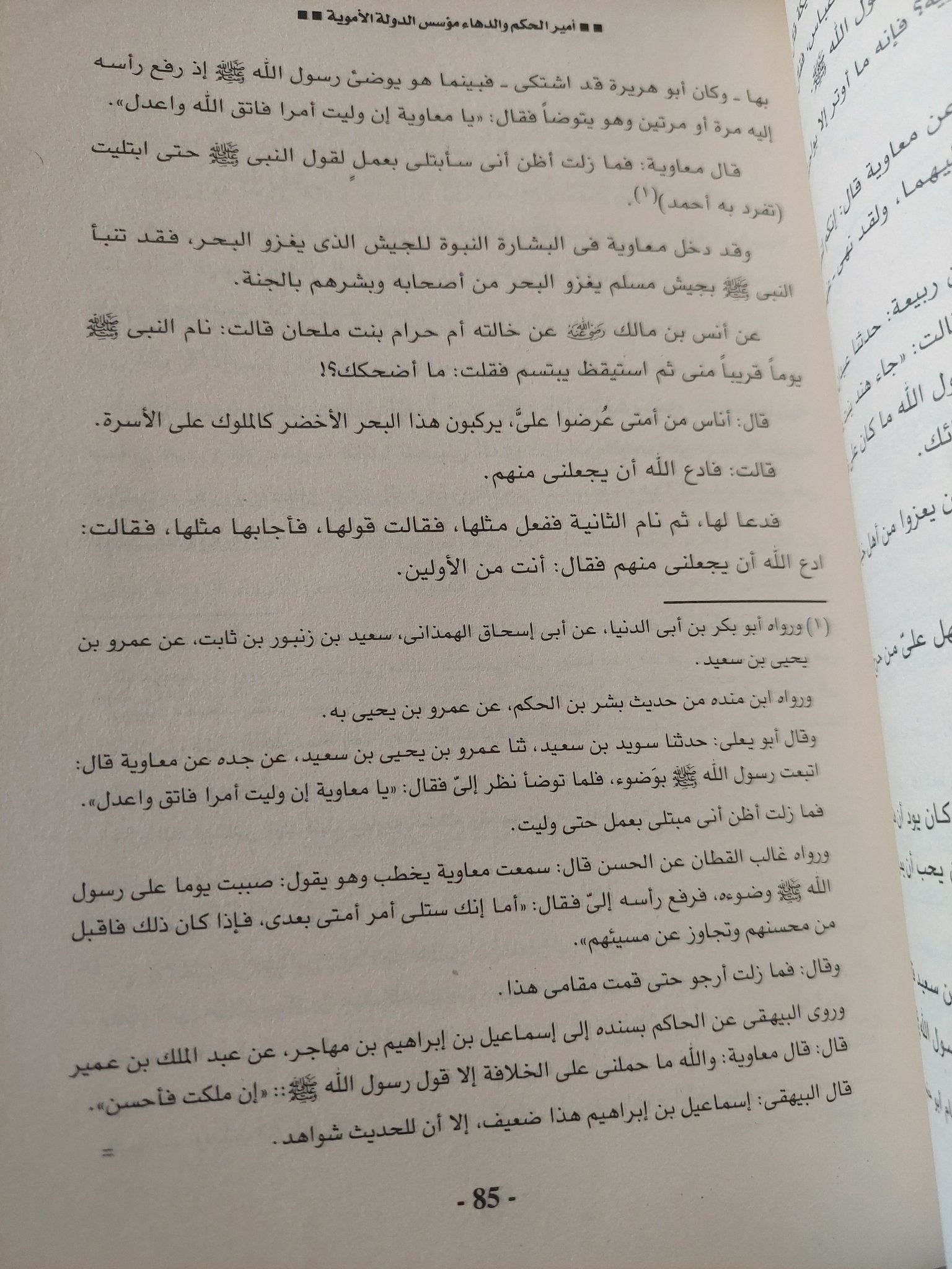 معاوية بن أبى سفيان أمير الحكم والدهاء / منصور عبد الحكيم - متجر كتب مصر - المكتبة الفلسفية