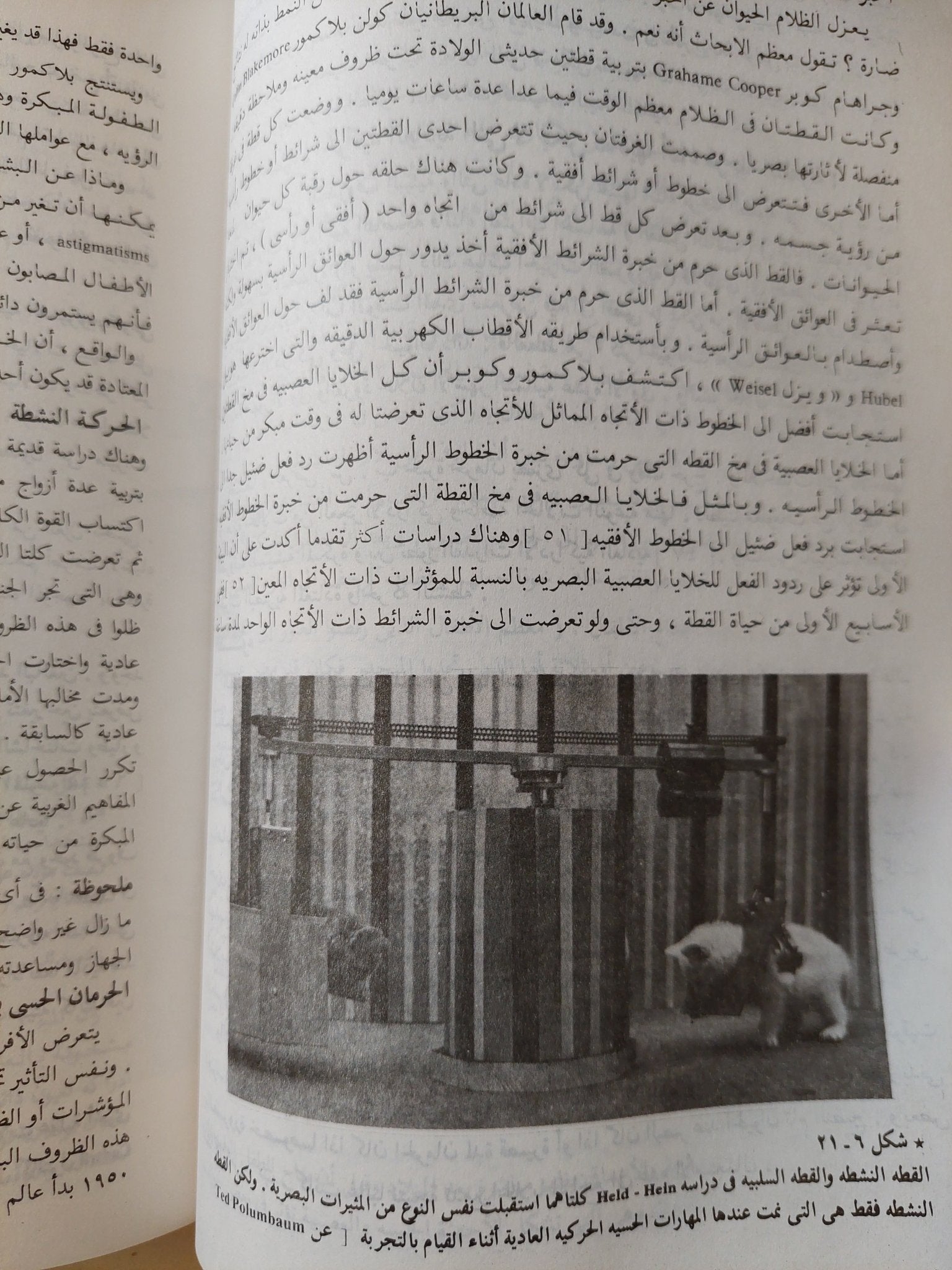 مدخل علم النفس / لندا دافيدوف - ملحق بالصور - متجر كتب مصر - متجر كتب مصر