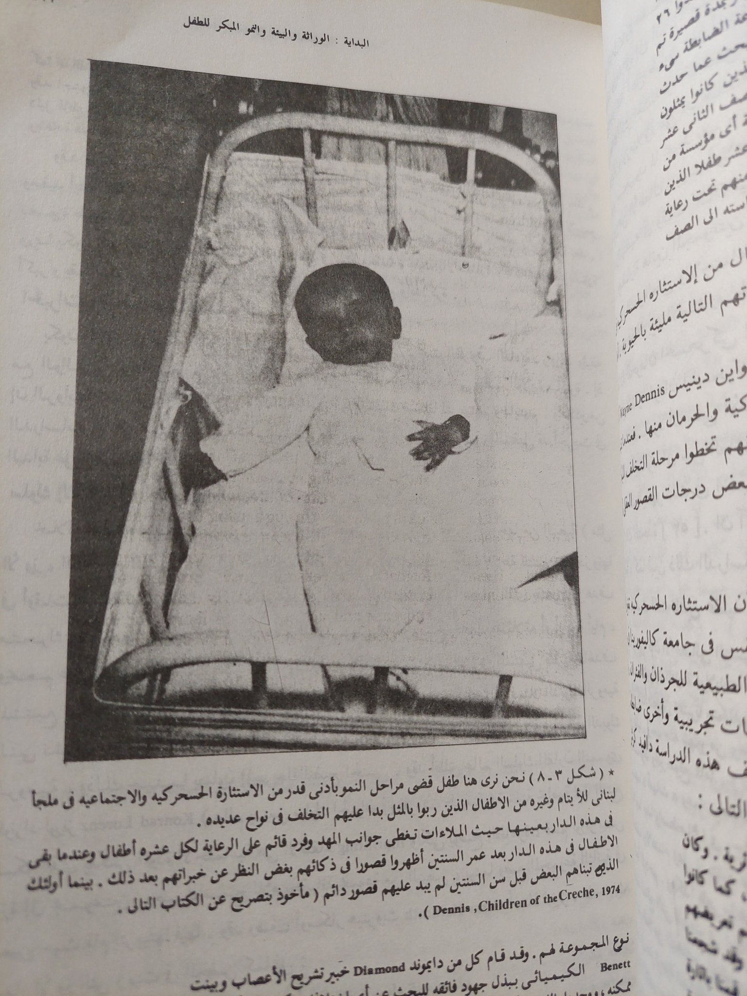 مدخل علم النفس / لندا دافيدوف - ملحق بالصور - متجر كتب مصر - متجر كتب مصر