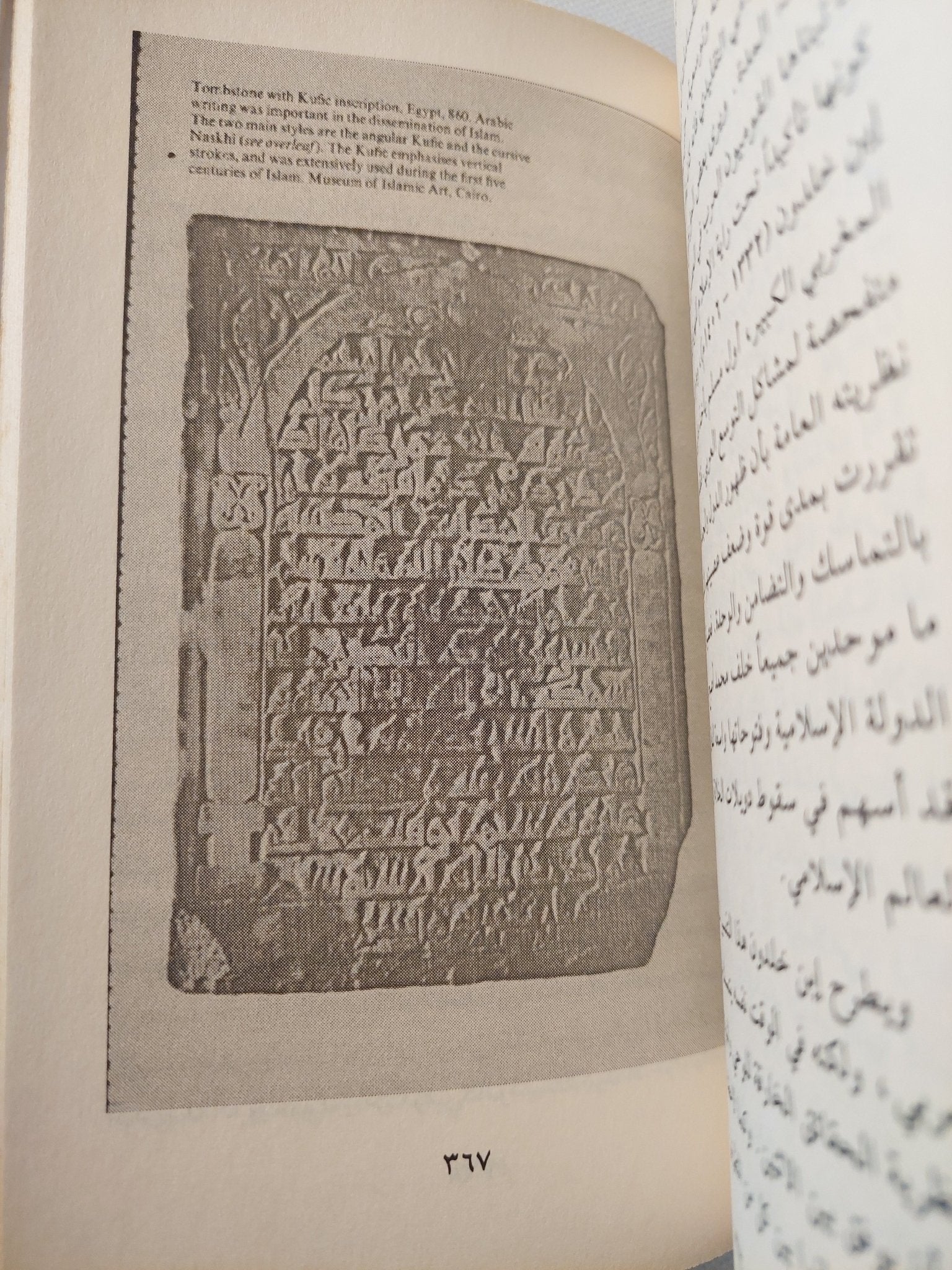 محمد والفتوحات الإسلامية / فرانشيسكو كبرييلى - ملحق بالصور - متجر كتب مصر - المكتبة الفلسفية