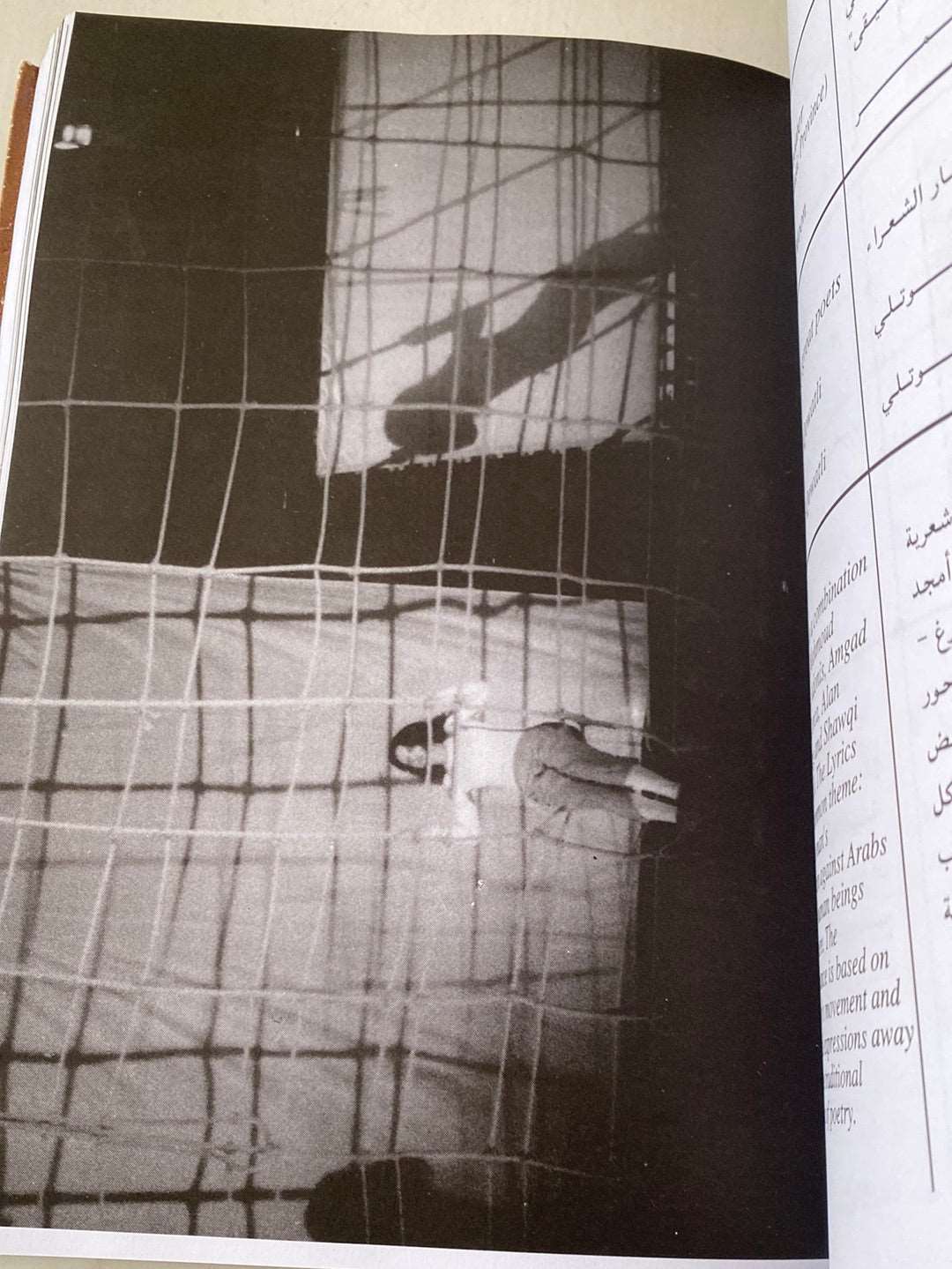 (مهرجان القاهرة الدولى للمسرح التجريبي (ملحق بالصور - متجر كتب مصرمتجر كتب مصر