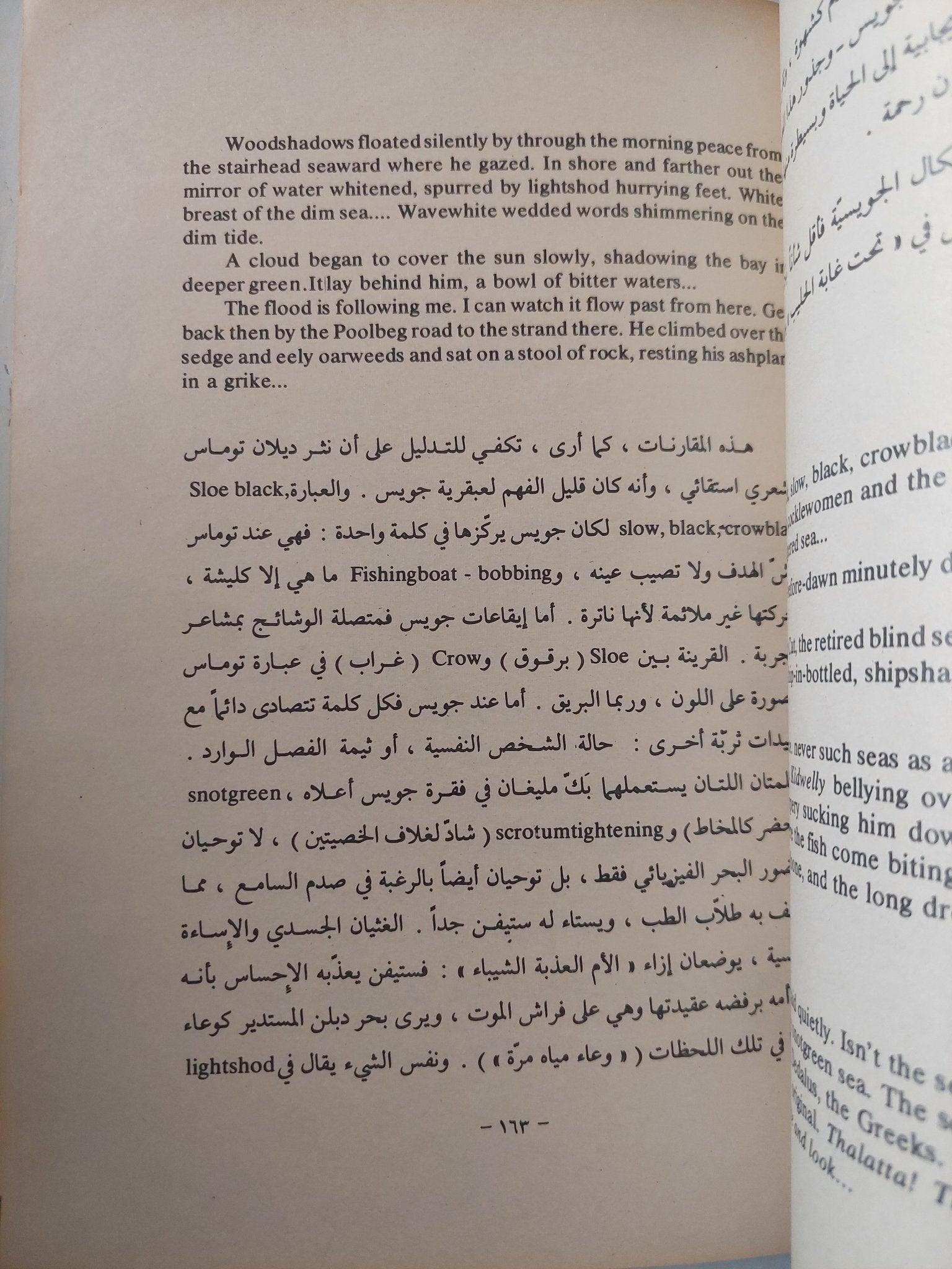مجموعة مقالات نقدية / ديلان توماس - متجر كتب مصرمتجر كتب مصر