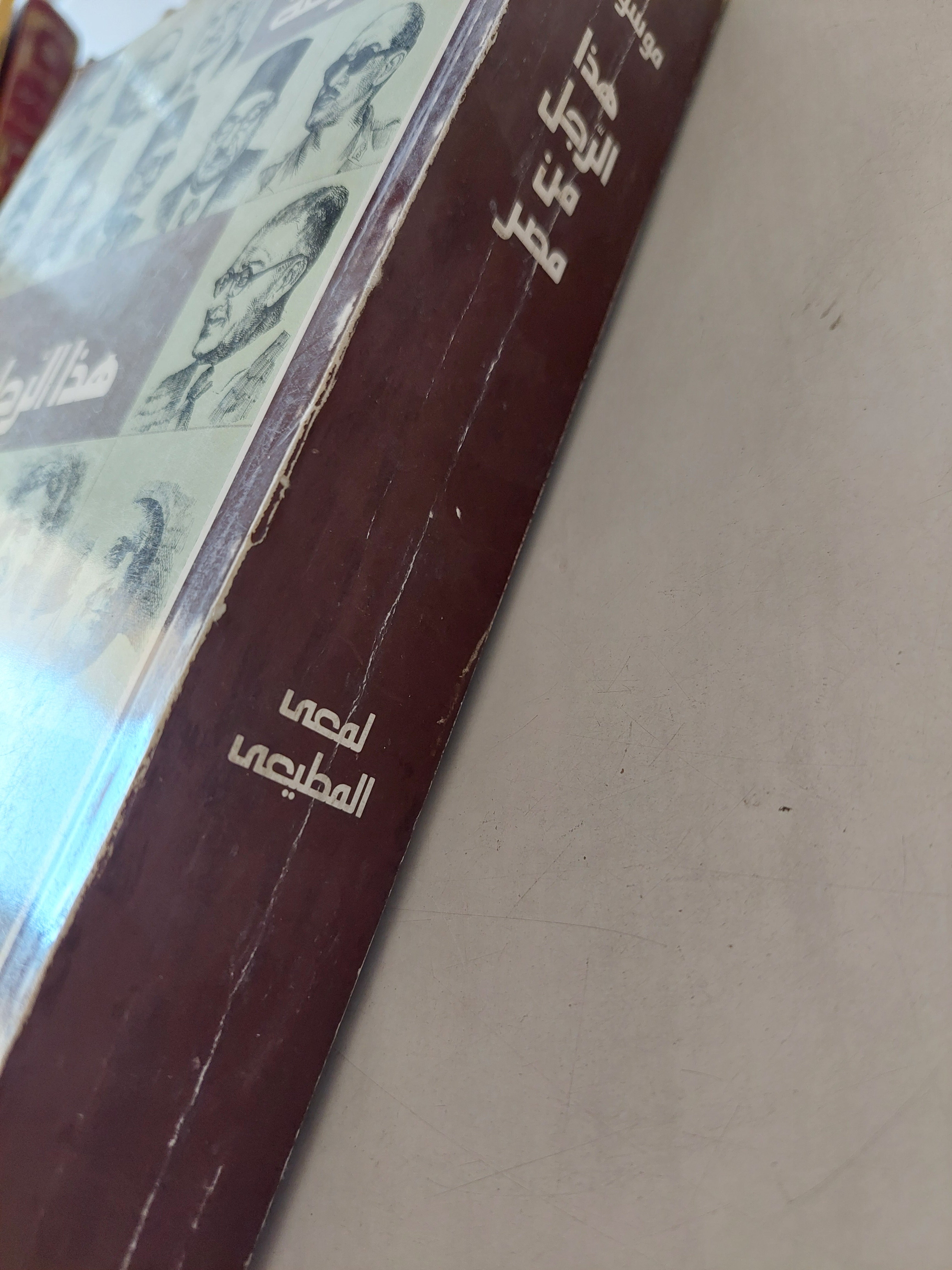 موسوعة هذا الرجل من مصر/ لمعي المطيعي - متجر كتب مصر - متجر كتب مصر