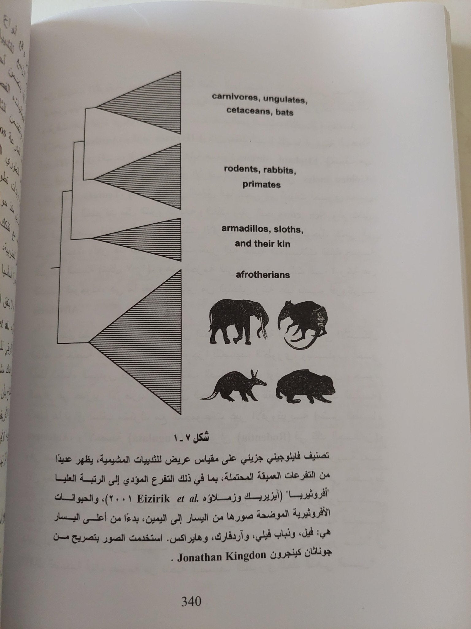 مسارات التطور في الطبيعة من منظور التصنيف التطوري الجيني - متجر كتب مصر - متجر كتب مصر
