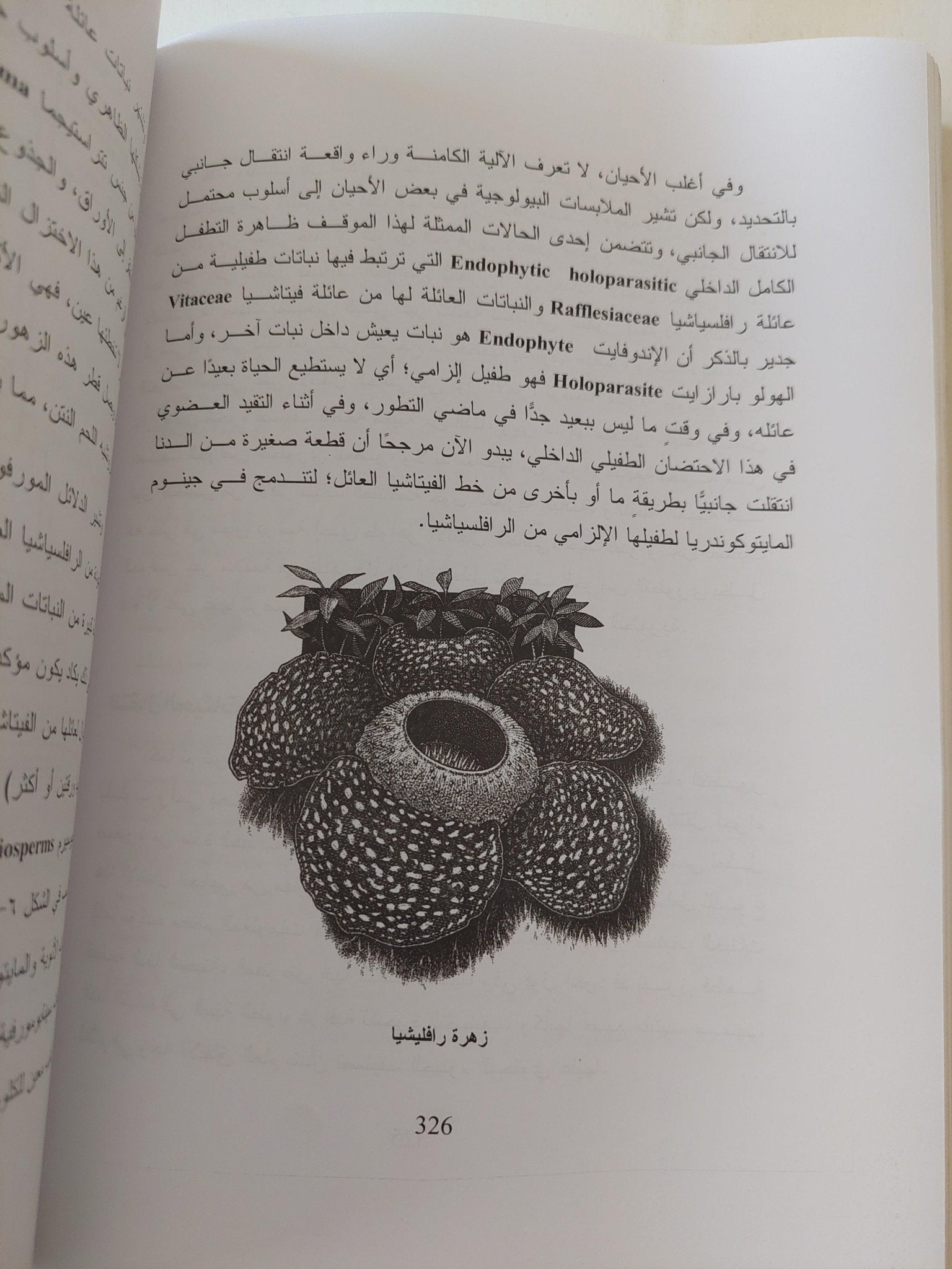 مسارات التطور في الطبيعة من منظور التصنيف التطوري الجيني - متجر كتب مصر - متجر كتب مصر