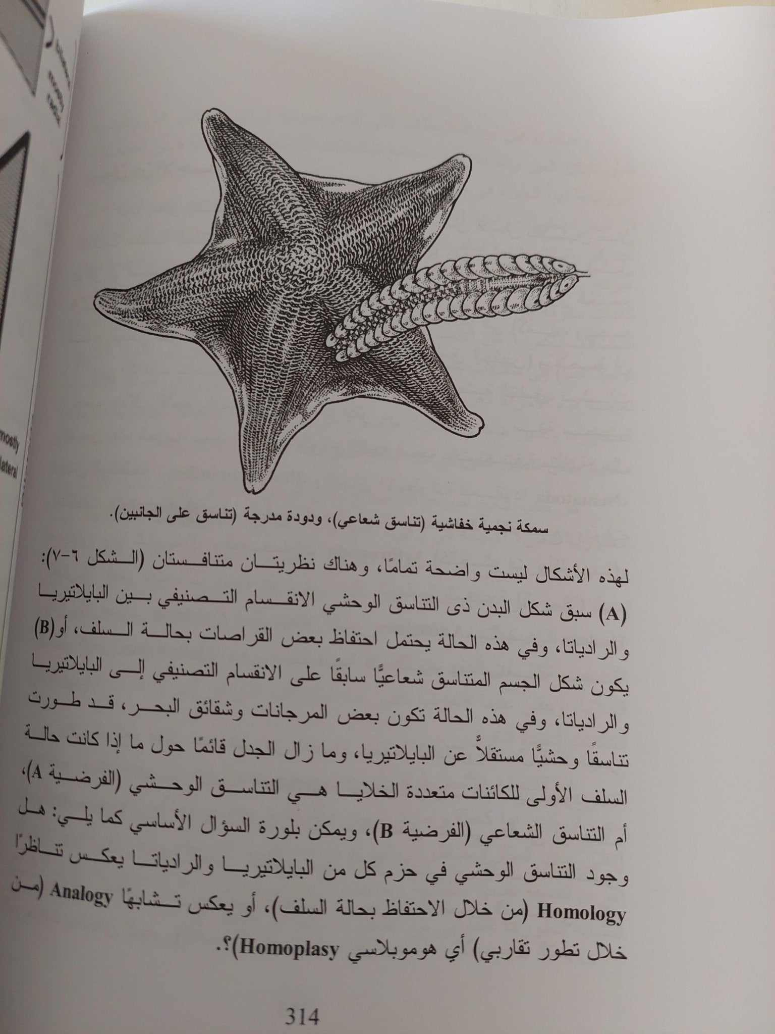مسارات التطور في الطبيعة من منظور التصنيف التطوري الجيني - متجر كتب مصر - متجر كتب مصر