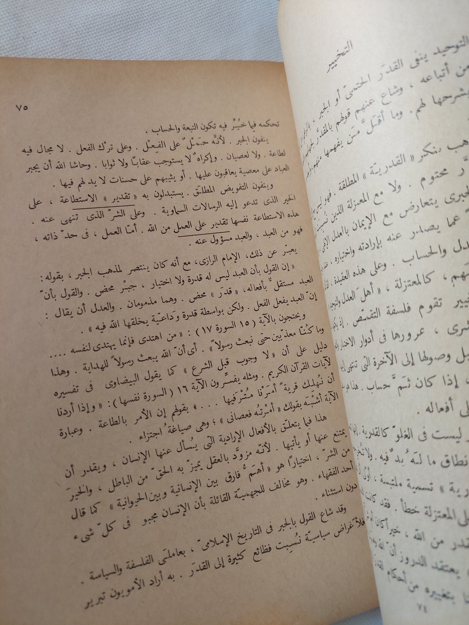 مذهب الدروز والتوحيد / عبدالله النجار - متجر كتب مصر - المكتبة الفلسفية
