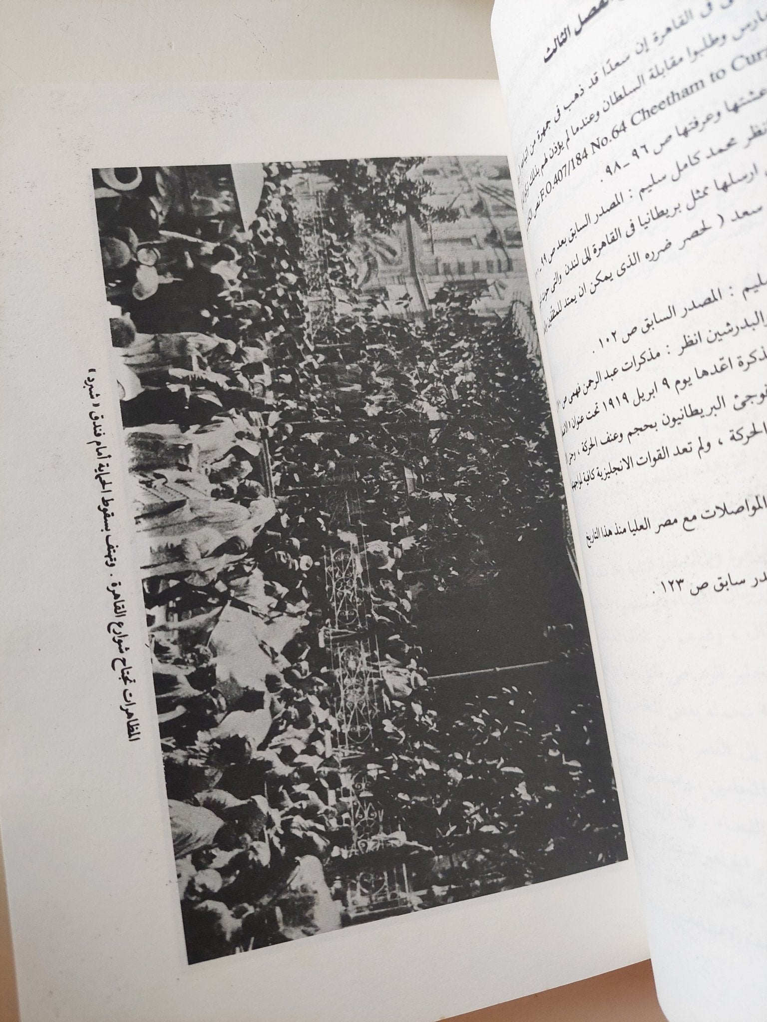 مذكرات فخرى عبد النور .. ثورة 1919 - متجر كتب مصر - متجر كتب مصر