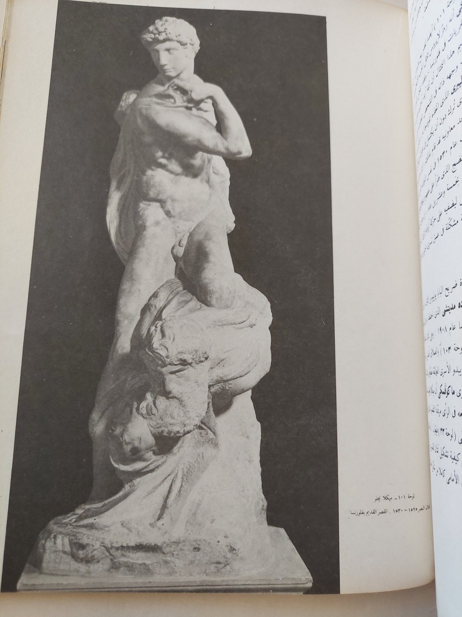 ميكلانجلو / ثروت عكاشة - قطع كبير ملحق بالصور - متجر كتب مصر - متجر كتب مصر