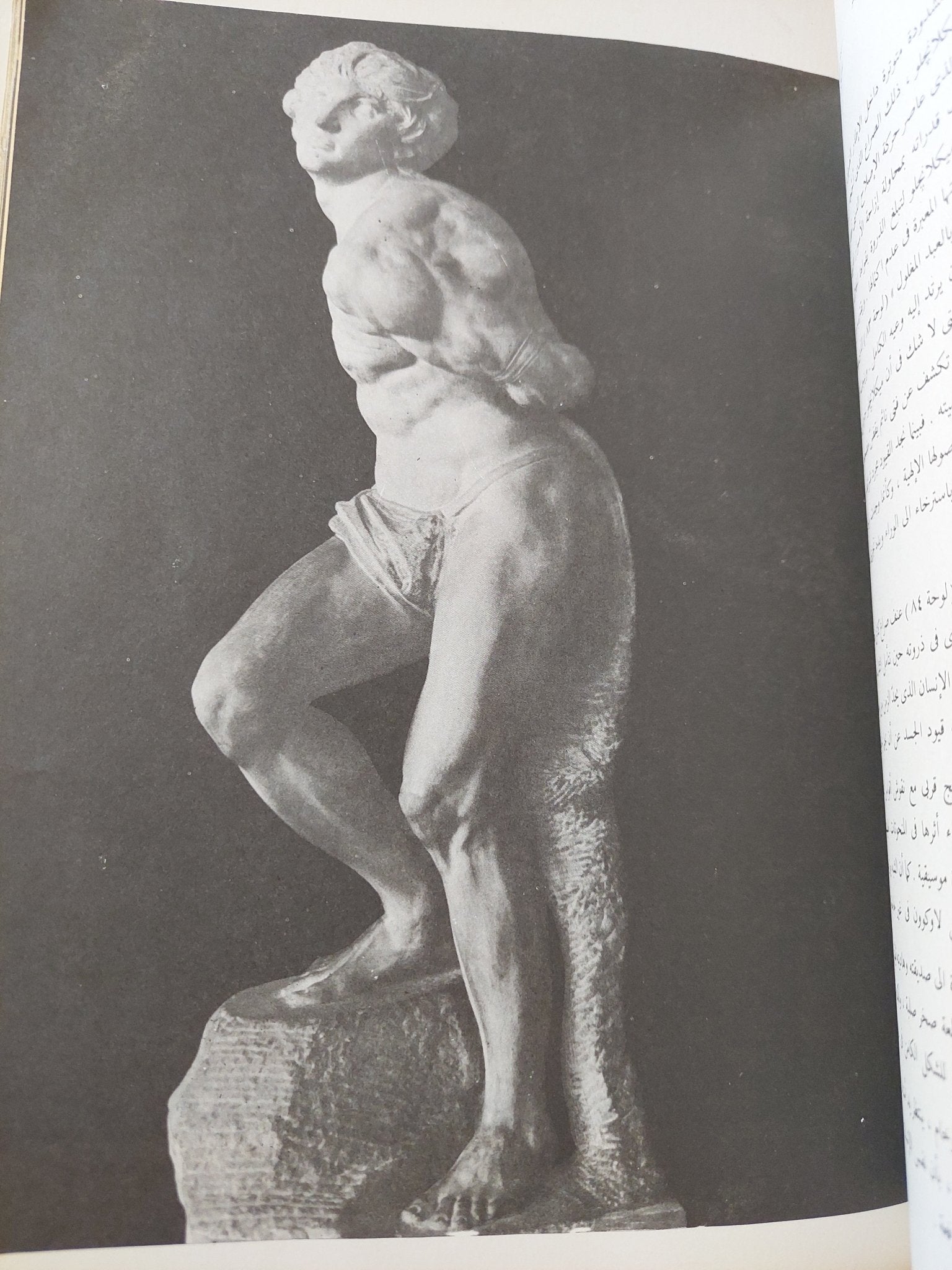 ميكلانجلو / ثروت عكاشة - قطع كبير ملحق بالصور - متجر كتب مصر - متجر كتب مصر