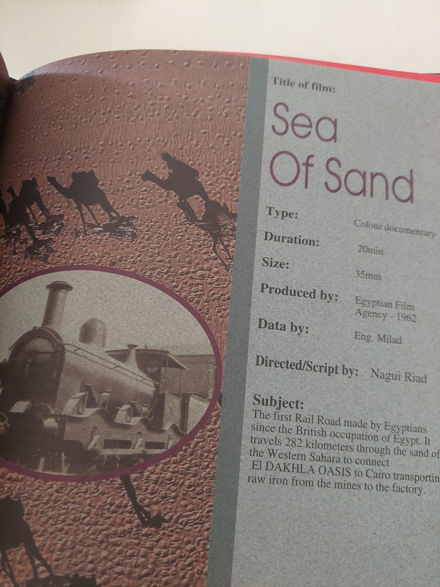 ناجى رياض .. صديق الحياة / نادر رياض - هارد كفر ملحق بالصور - متجر كتب مصر - متجر كتب مصر