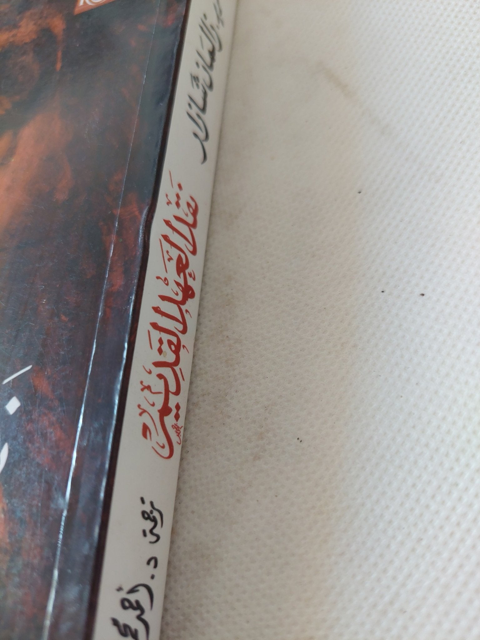 نقد العهد القديم / زالمان شازار - متجر كتب مصر - المكتبة الفلسفية