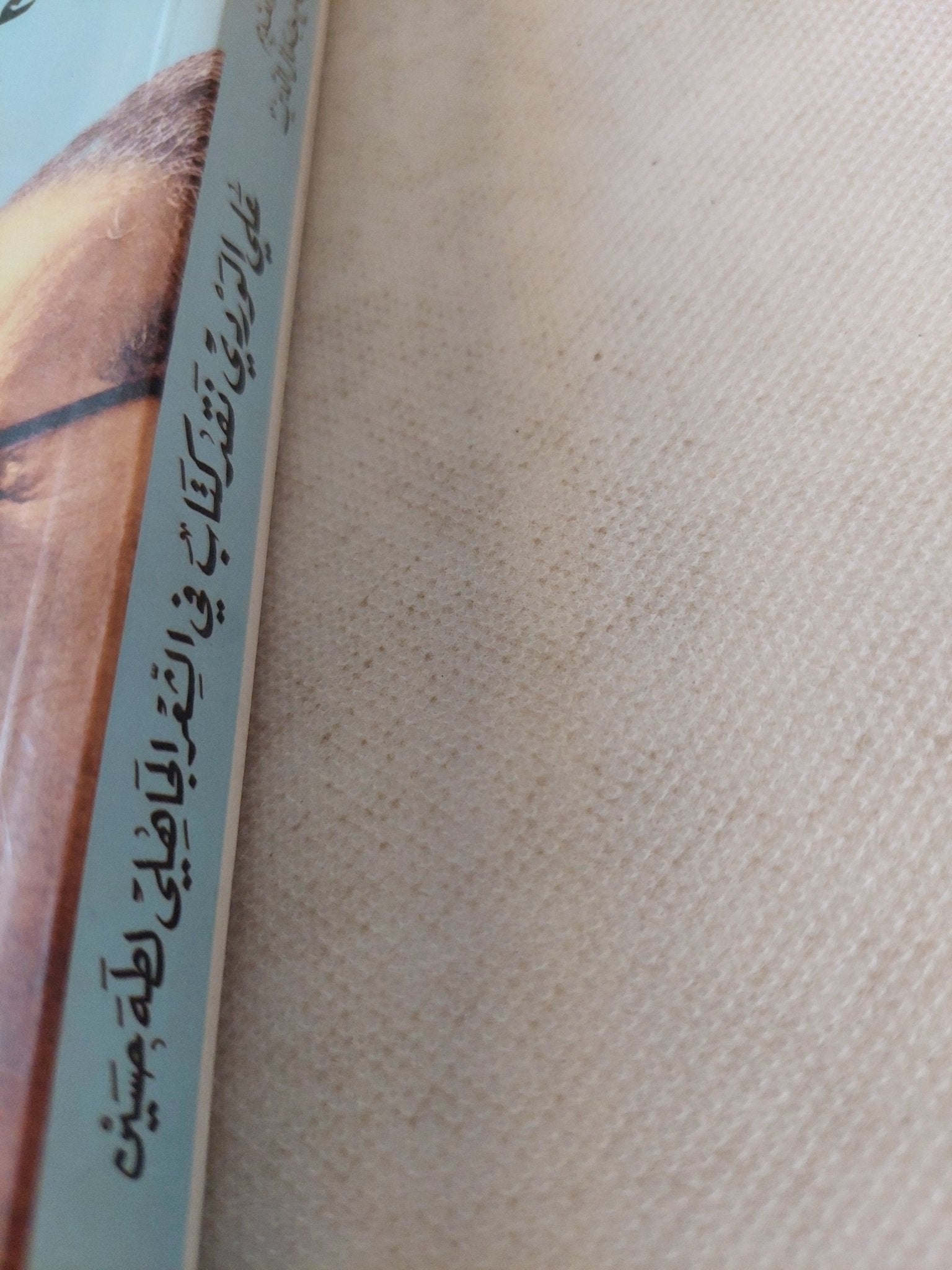 نقد كتاب الشعر الجاهلى لطه حسين / على الوردى - متجر كتب مصر - المكتبة الفلسفية