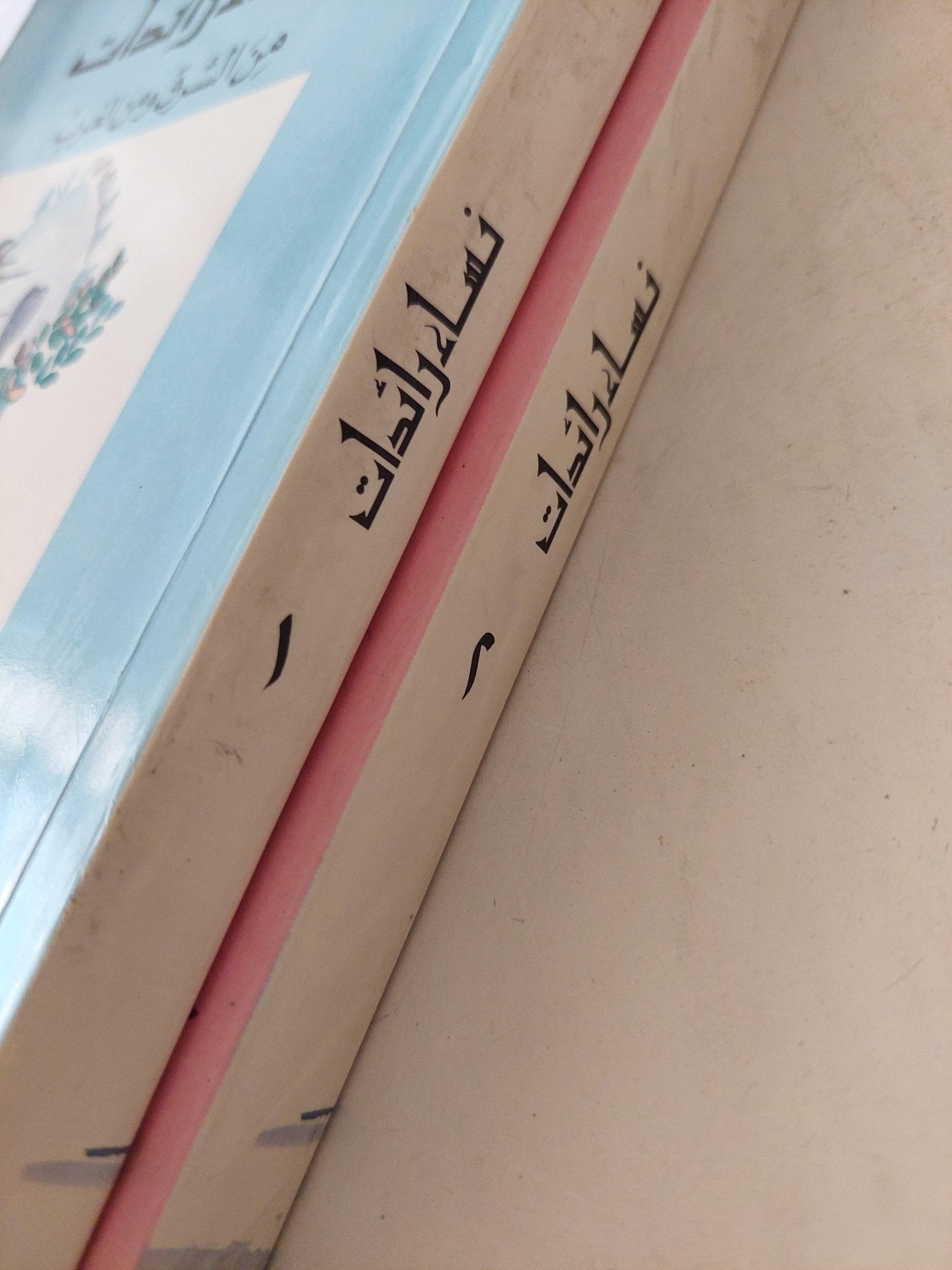 نساء رائدات من الشرق والغرب / املي نصر الله ( جزئين ) - متجر كتب مصر - متجر كتب مصر