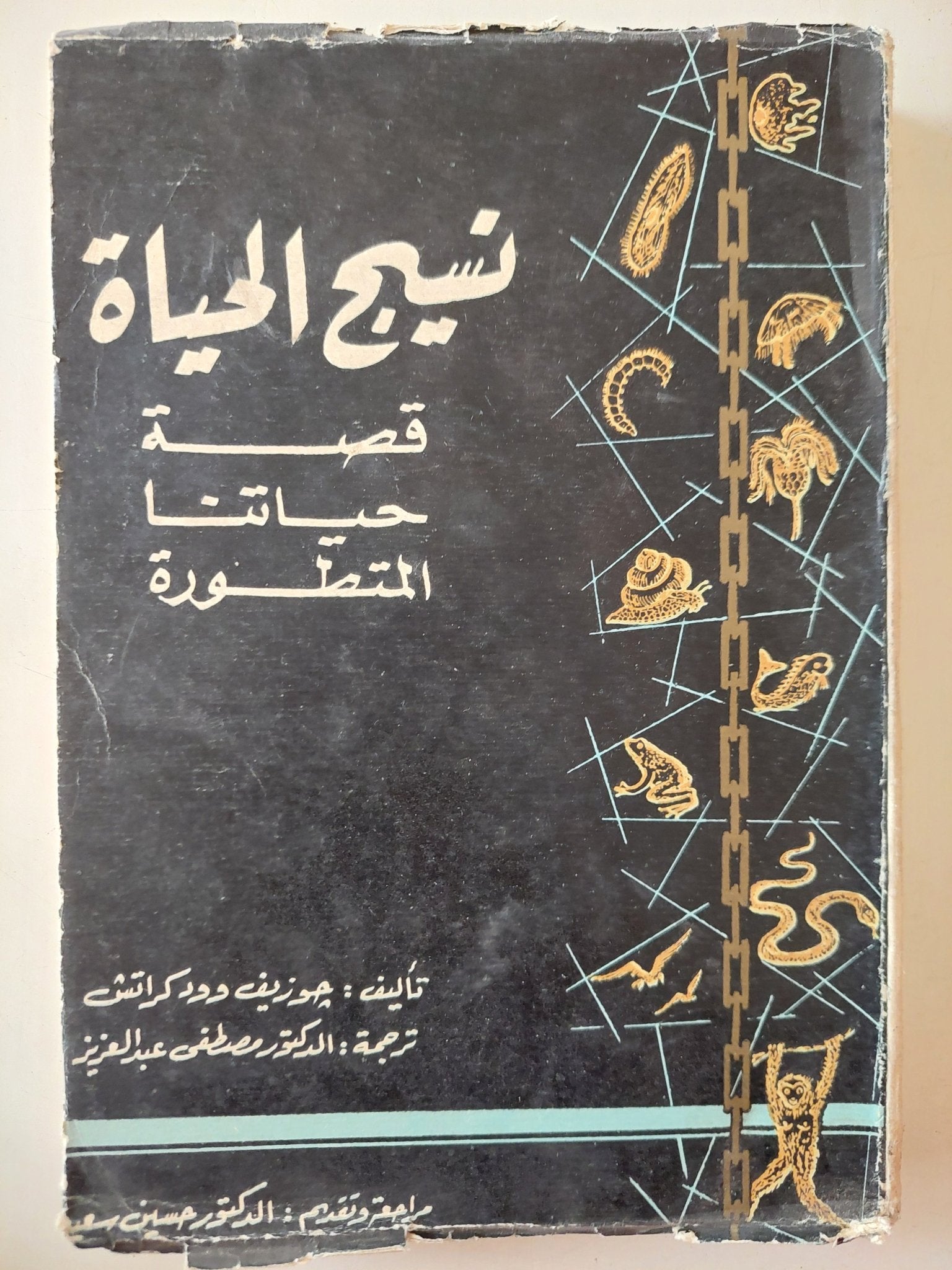 نسيج الحياة .. قصة حياتنا المتطورة / جوزيف وود كراتش - متجر كتب مصر - متجر كتب مصر
