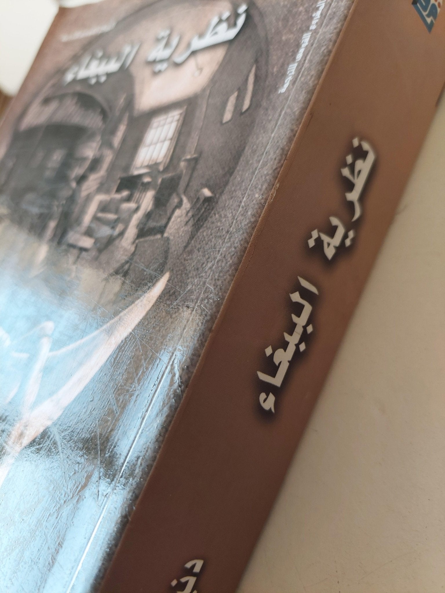 نظرية الببغاء - دنيس جيدج / مجلد ضخم - متجر كتب مصر - متجر كتب مصر