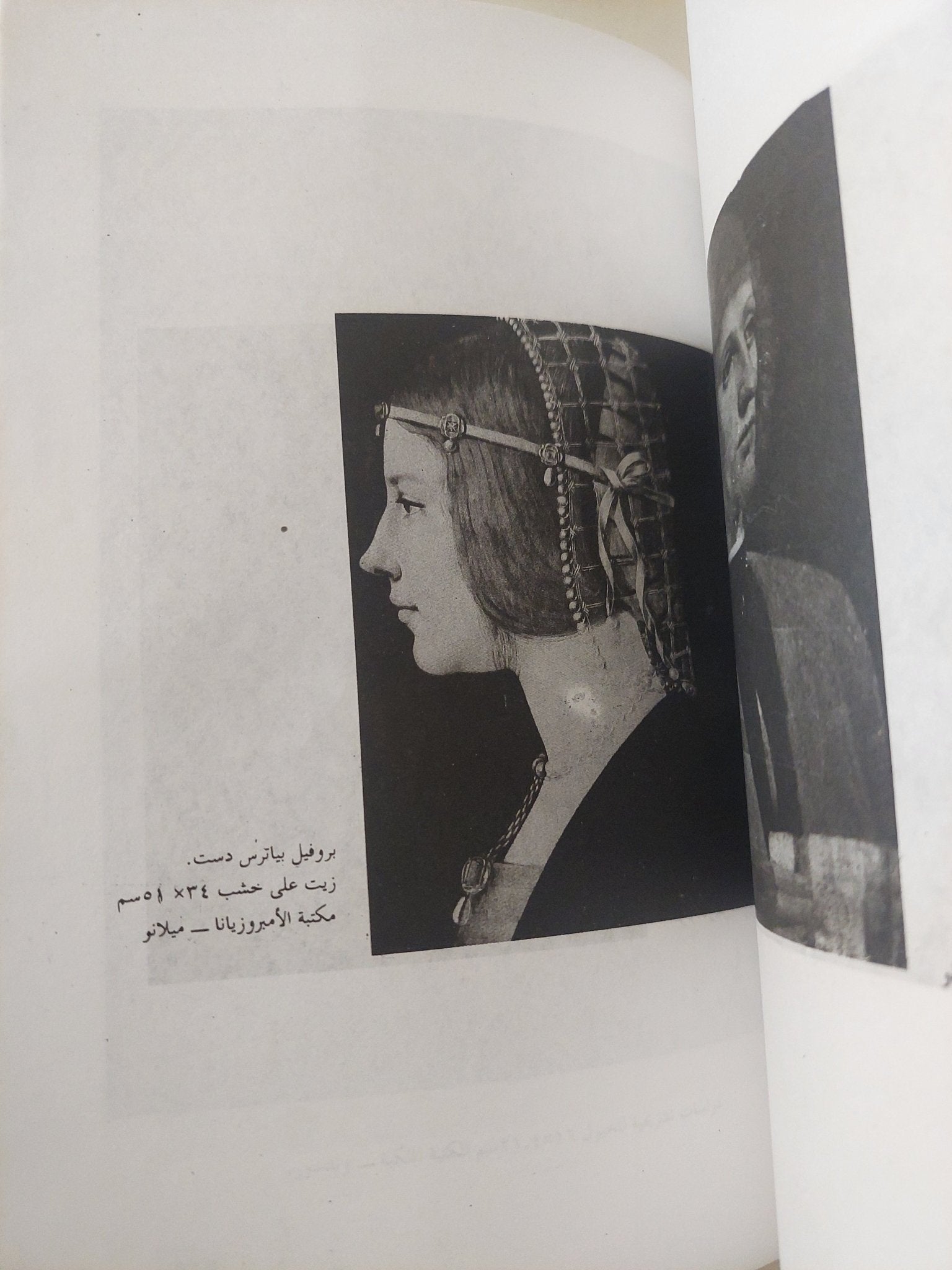 نظرية التصوير / ليوناردو دافنشى - ملحق بالصور - متجر كتب مصر - متجر كتب مصر