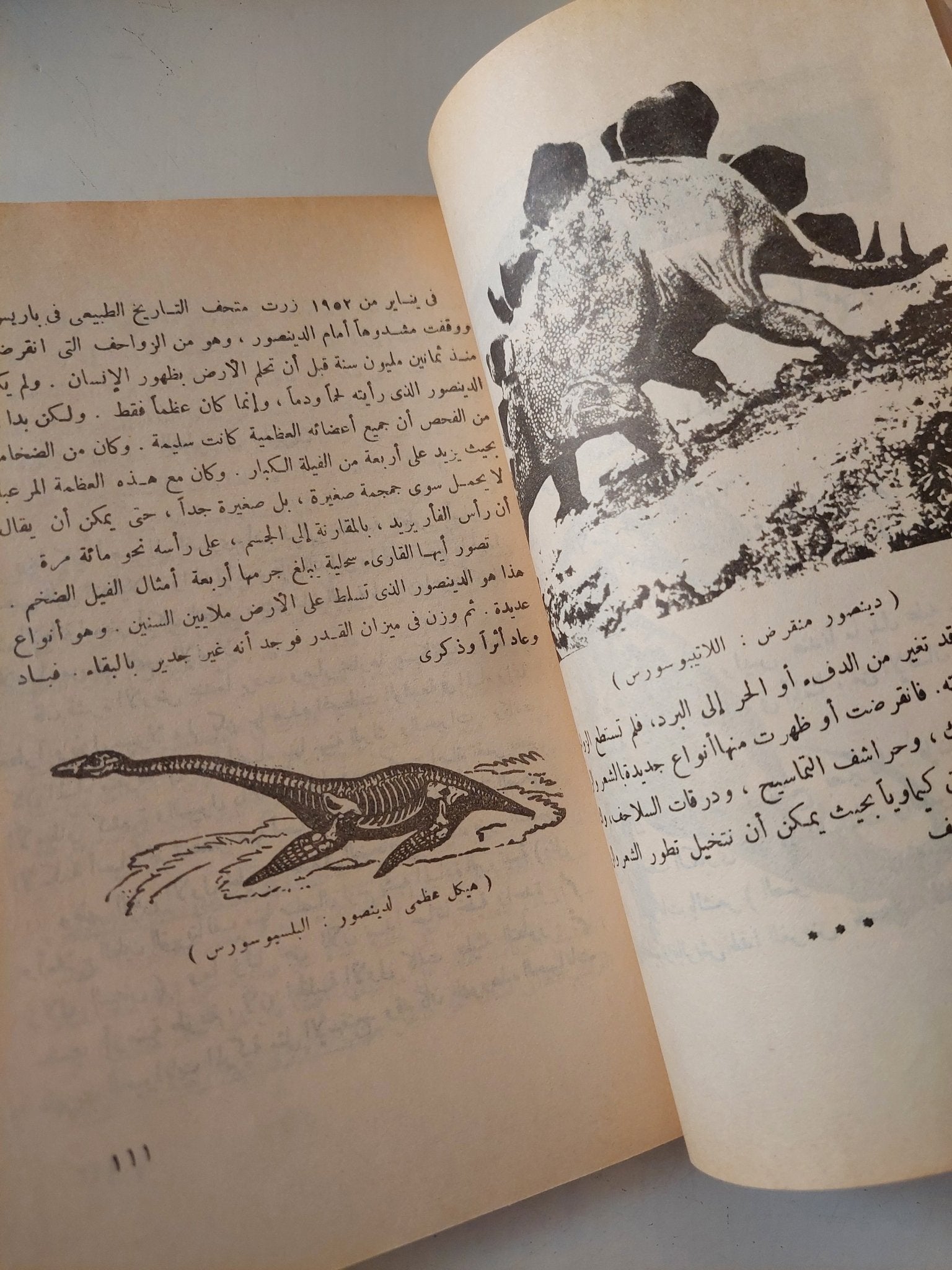 نظرية التطور وأصل الإنسان / سلامة موسى - متجر كتب مصر - متجر كتب مصر