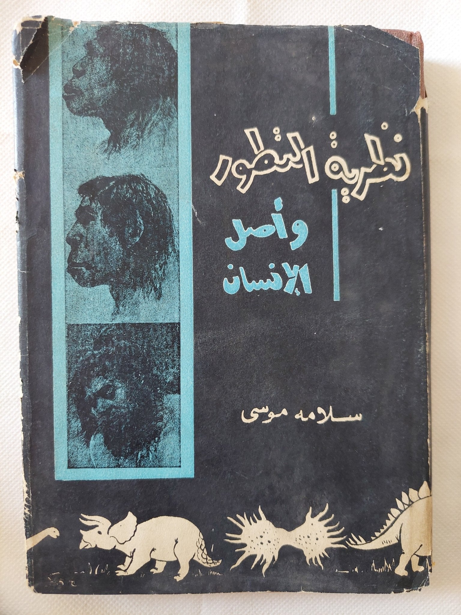 نظرية التطور وأصل الإنسان / سلامة موسى - هارد كفر - متجر كتب مصر - متجر كتب مصر