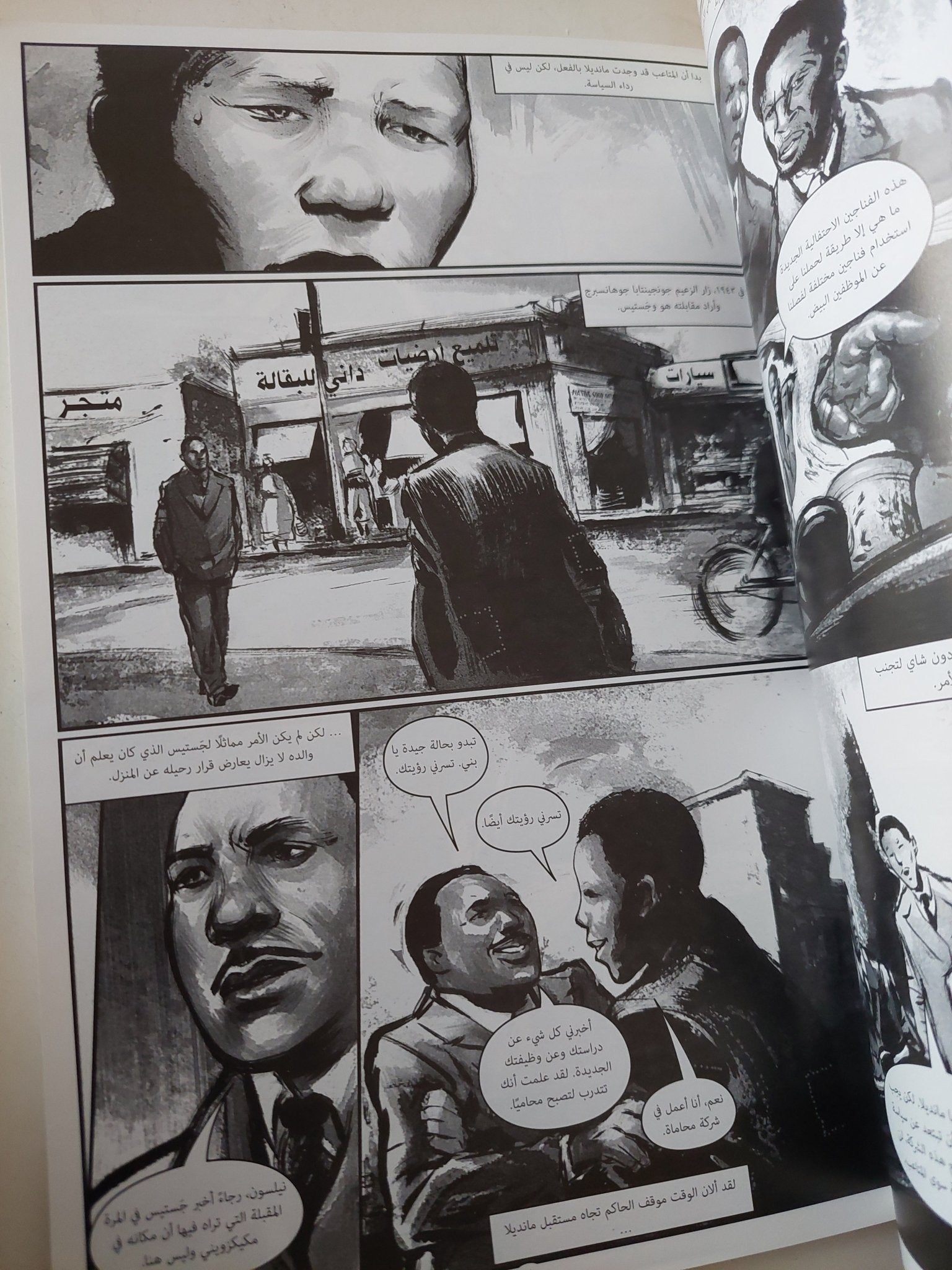 نيلسون مانديلا / لويس هيلفاند - قطع كبير - متجر كتب مصر - متجر كتب مصر