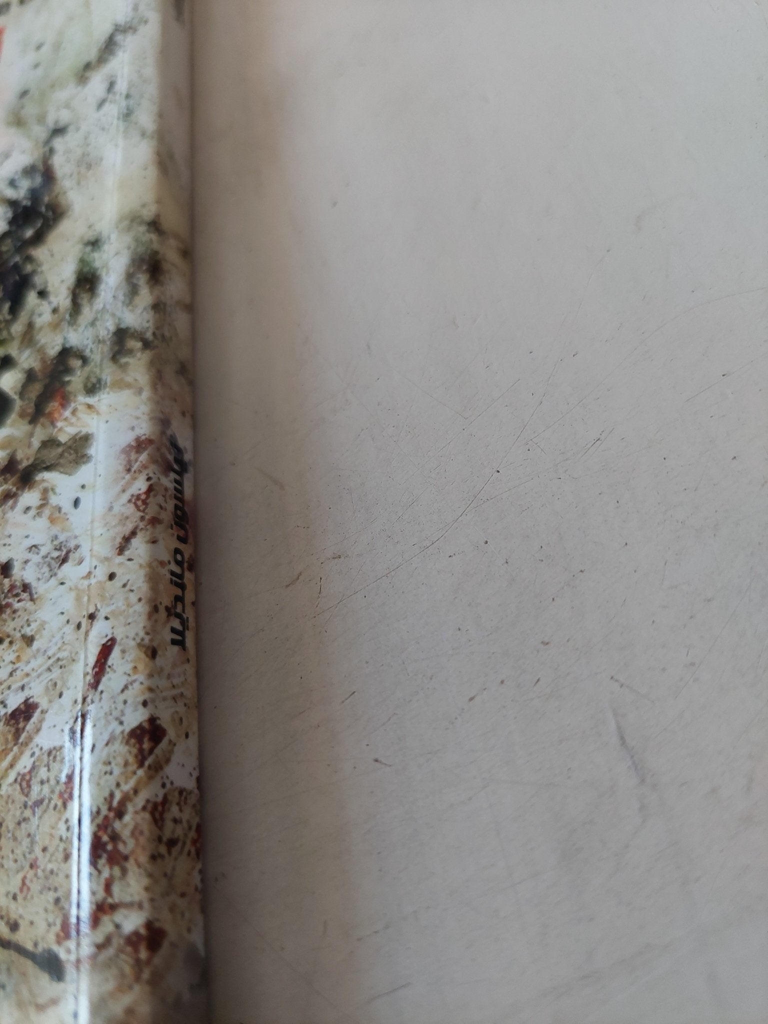 نيلسون مانديلا / لويس هيلفاند - قطع كبير - متجر كتب مصر - متجر كتب مصر