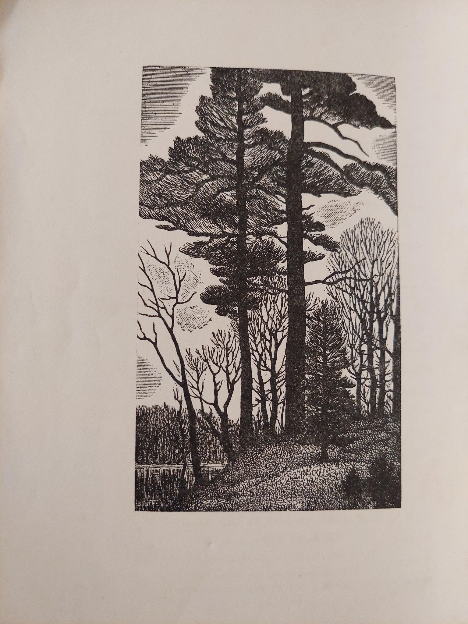 والدن .. وحي الغابة / هنري ثورو - متجر كتب مصر - متجر كتب مصر