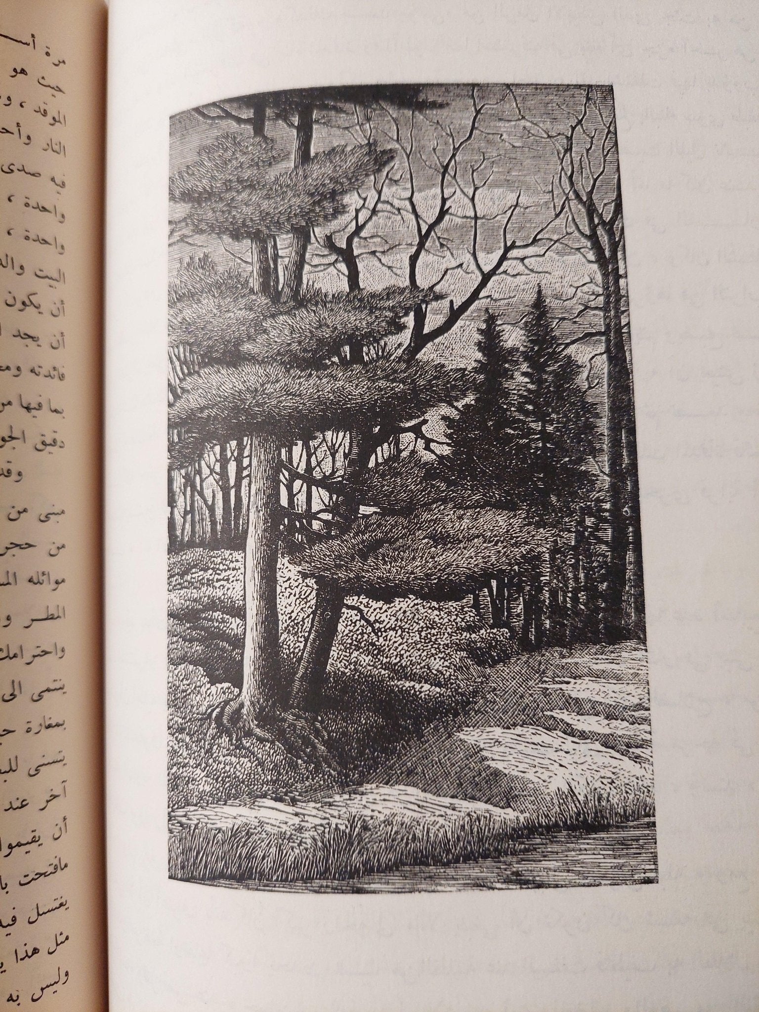 والدن .. وحي الغابة / هنري ثورو - متجر كتب مصر - متجر كتب مصر