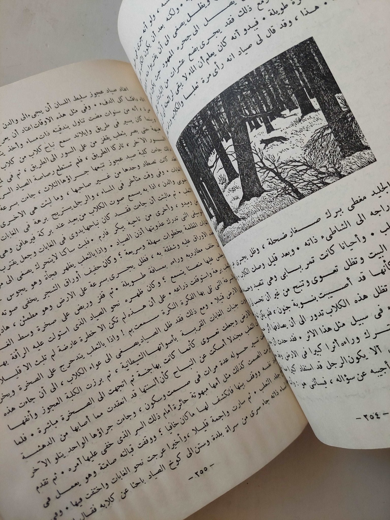 والدن .. وحي الغابة / هنري ثورو - متجر كتب مصرمتجر كتب مصر