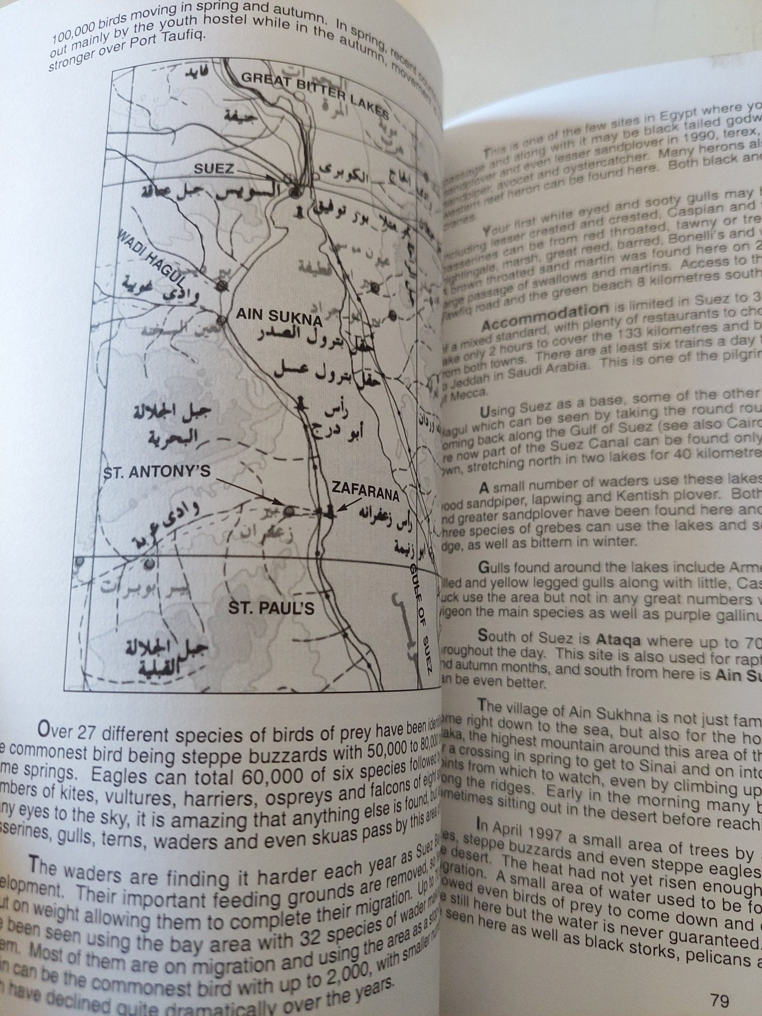Pharaohs birds / John miles - ملحق بالصور - متجر كتب مصر - متجر كتب مصر