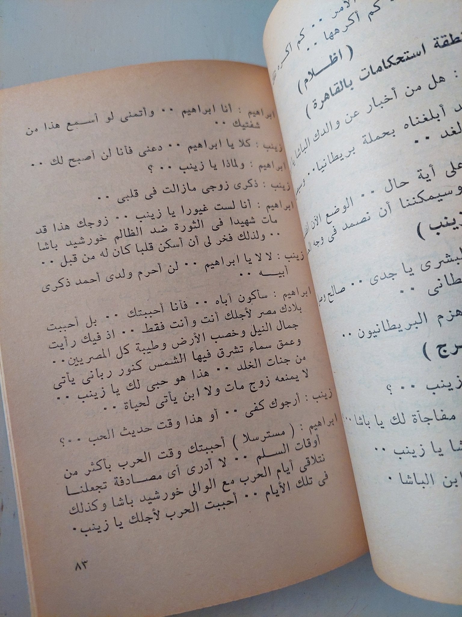 رجل فى القلعة / محمد أبو العلا السلامونى - متجر كتب مصر - متجر كتب مصر