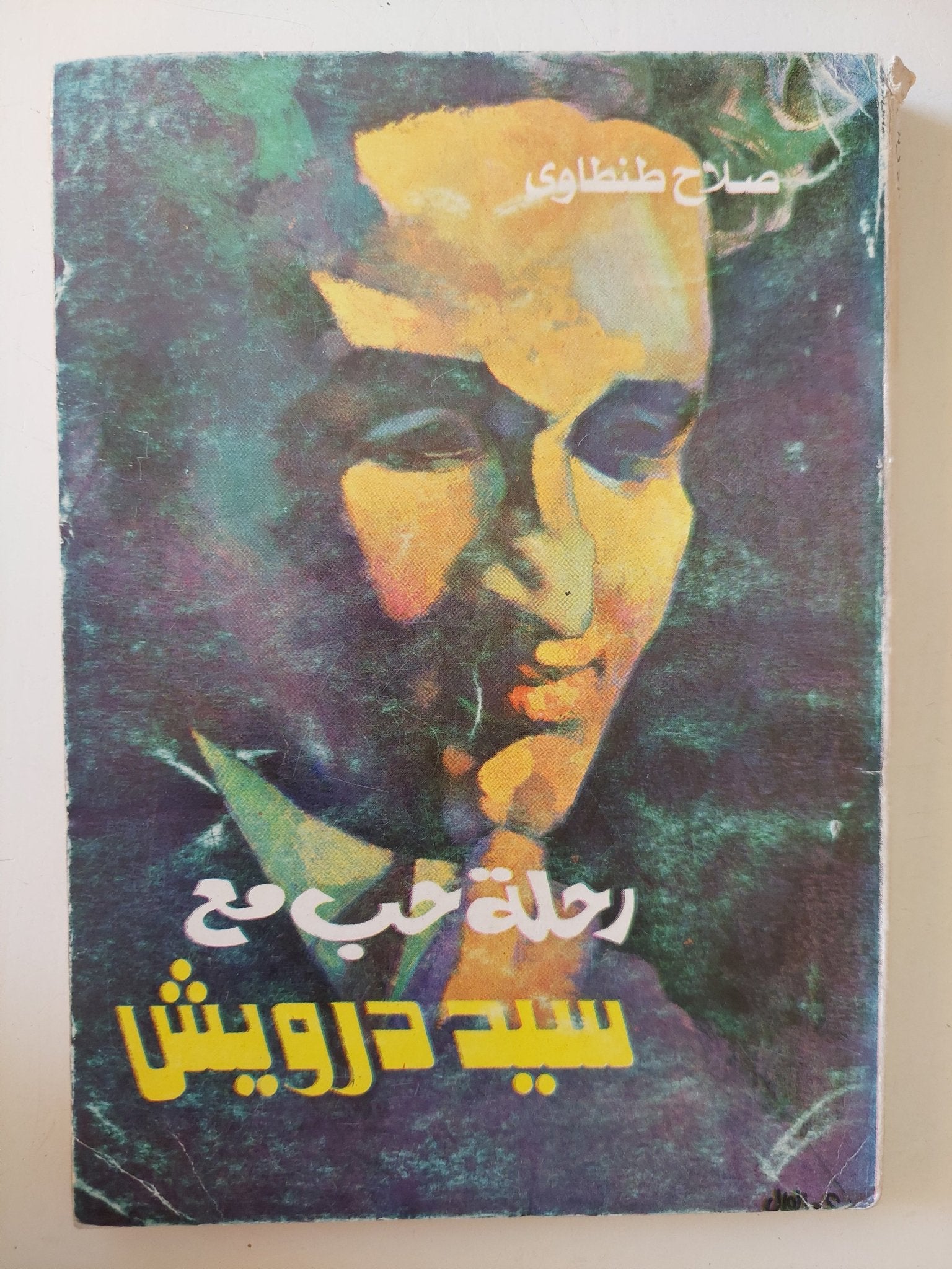 رحلة حب مع سيد درويش / صلاح طنطاوى - متجر كتب مصر - متجر كتب مصر
