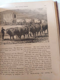 Royal Geographical readers - هارد كفر ملحق بالصور - متجر كتب مصر - متجر كتب مصر