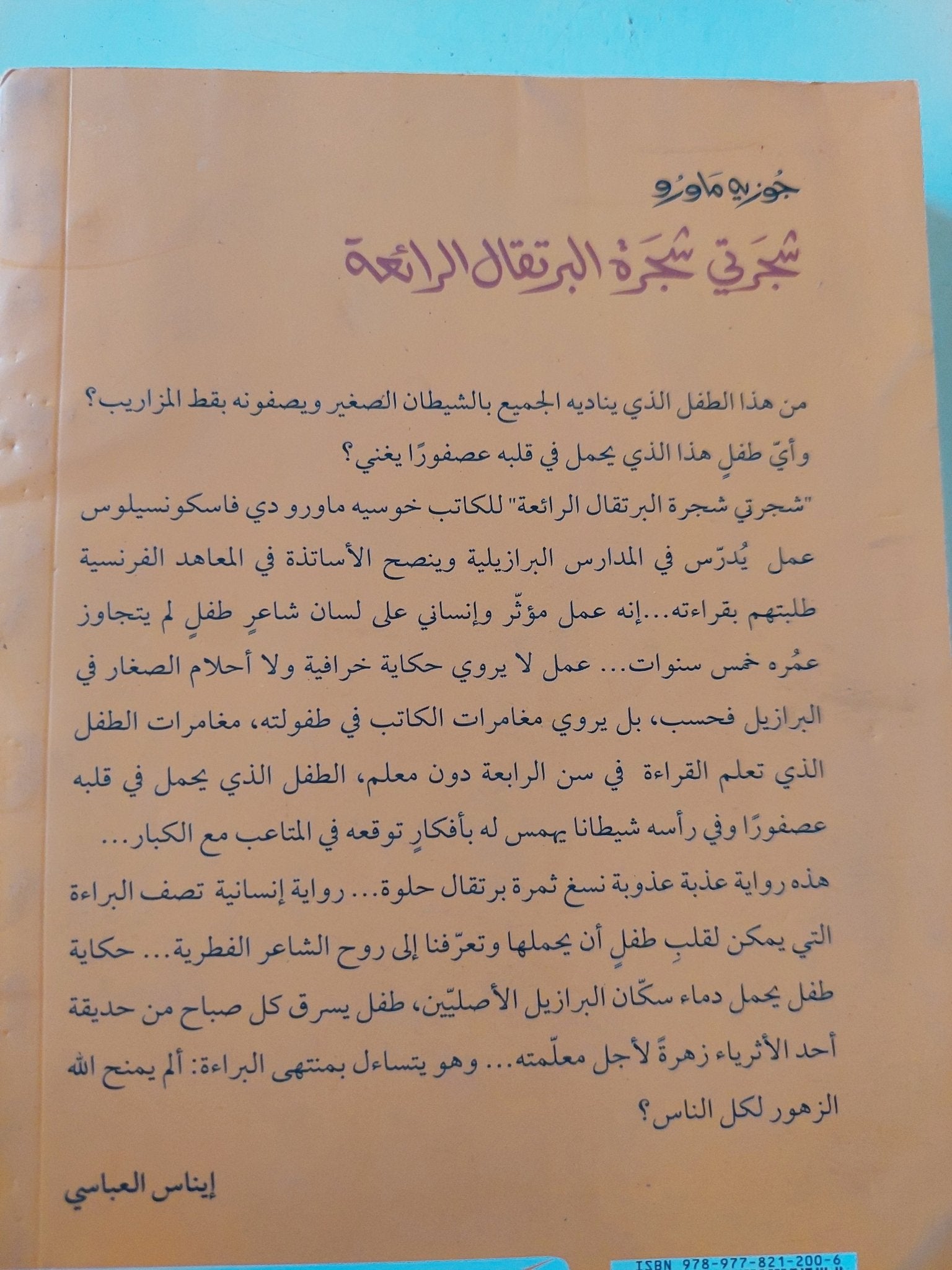 شجرتى شجرة البرتقال الرائعة / جوزيه ماورو - متجر كتب مصر - المكتبة الفلسفية