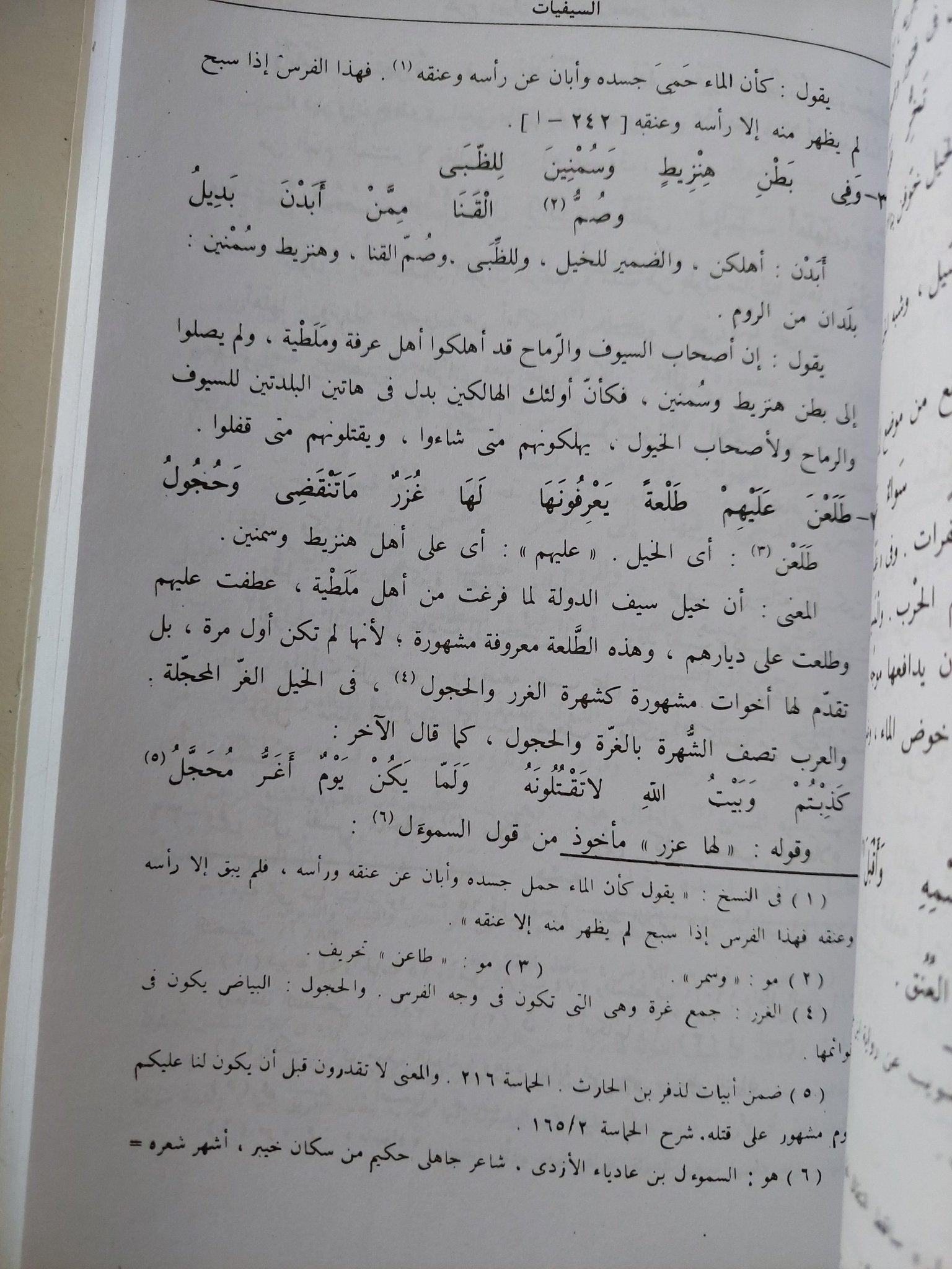 شرح ديوان أبي الطيب المتنبي المنسوب لأبي العلاء المعري363 - 449 هـ - متجر كتب مصرمتجر كتب مصر