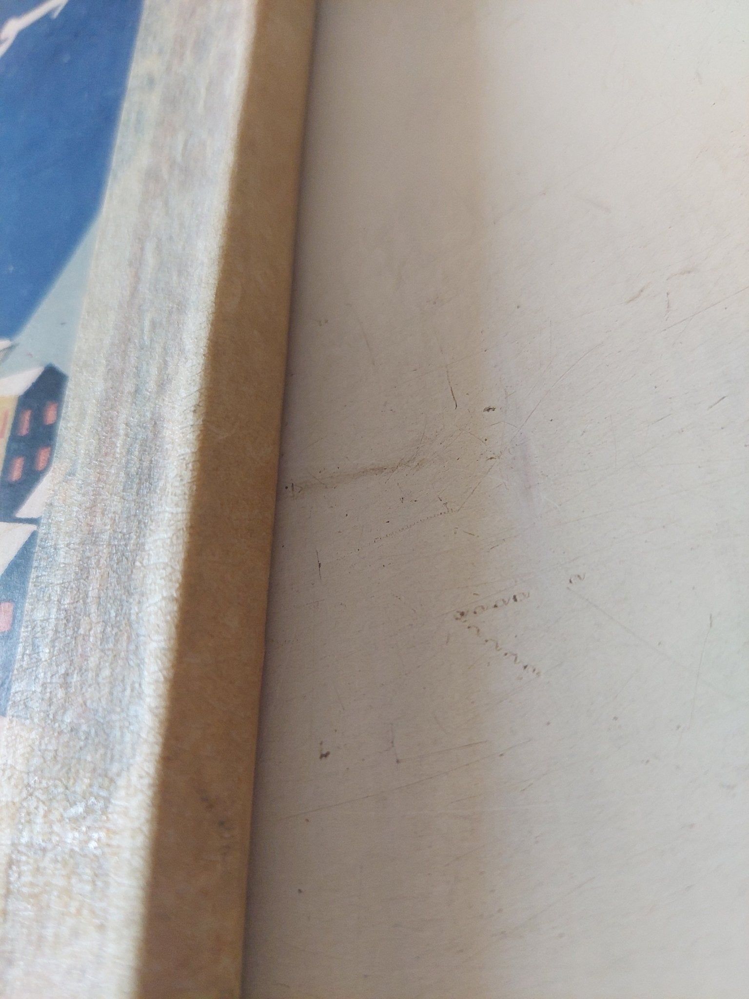 سويسرا شعبها وأرضها / ليليان - ملحق بالصور - متجر كتب مصر - متجر كتب مصر