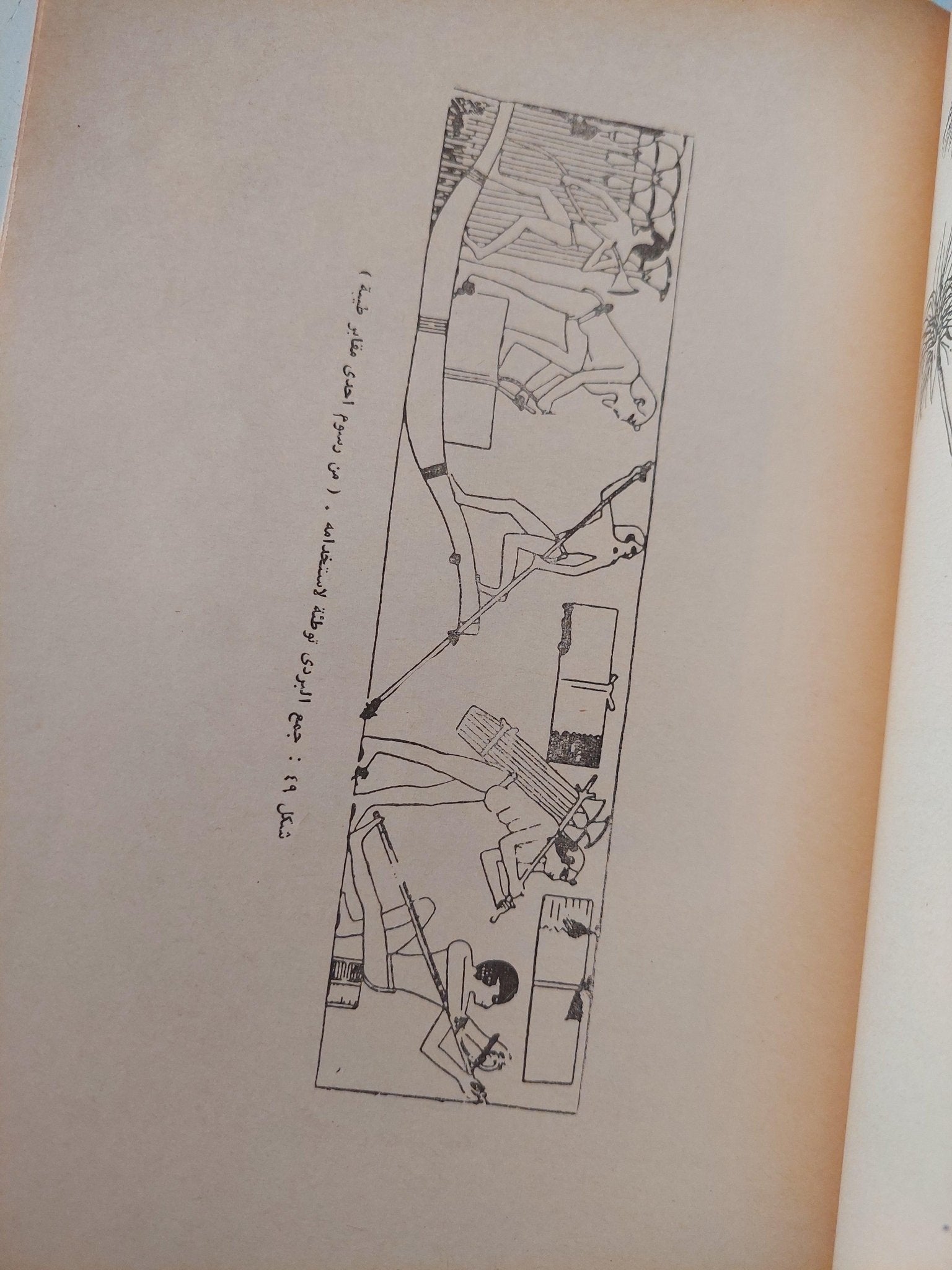 تاريخ التربية والتعليم في مصر / جزئين مع ملحق خاص للصور - متجر كتب مصر - متجر كتب مصر