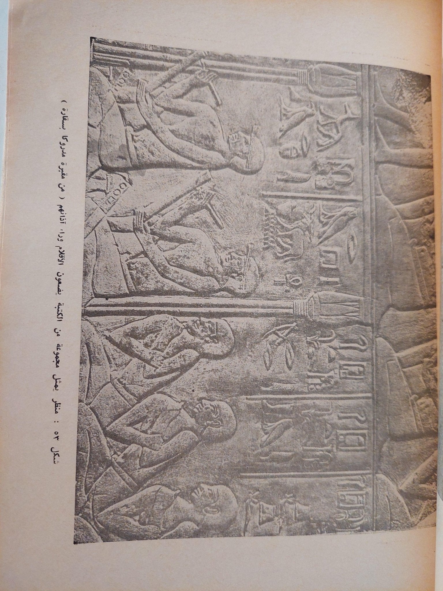تاريخ التربية والتعليم في مصر / جزئين مع ملحق خاص للصور - متجر كتب مصر - متجر كتب مصر