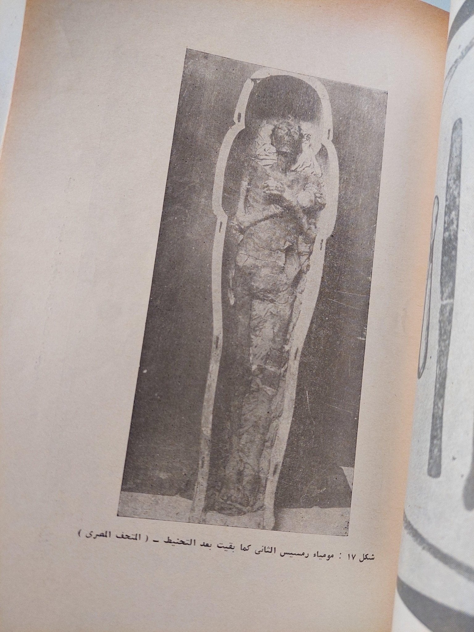 تاريخ التربية والتعليم في مصر / جزئين مع ملحق خاص للصور - متجر كتب مصر - متجر كتب مصر