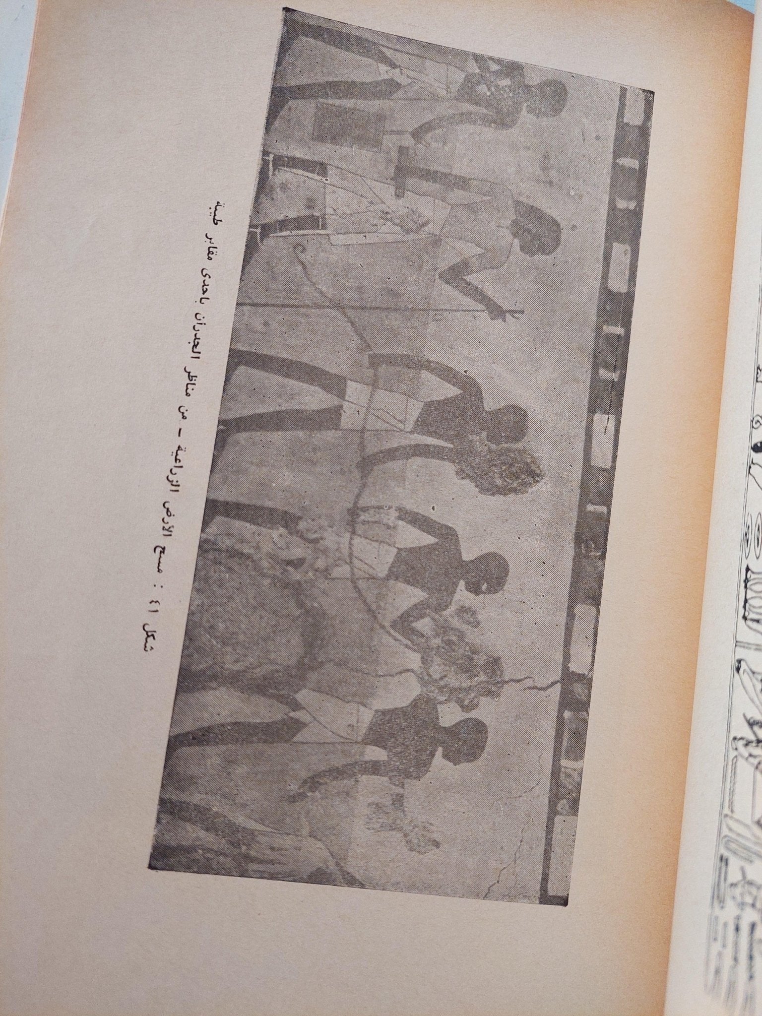 تاريخ التربية والتعليم في مصر / جزئين مع ملحق خاص للصور - متجر كتب مصر - متجر كتب مصر