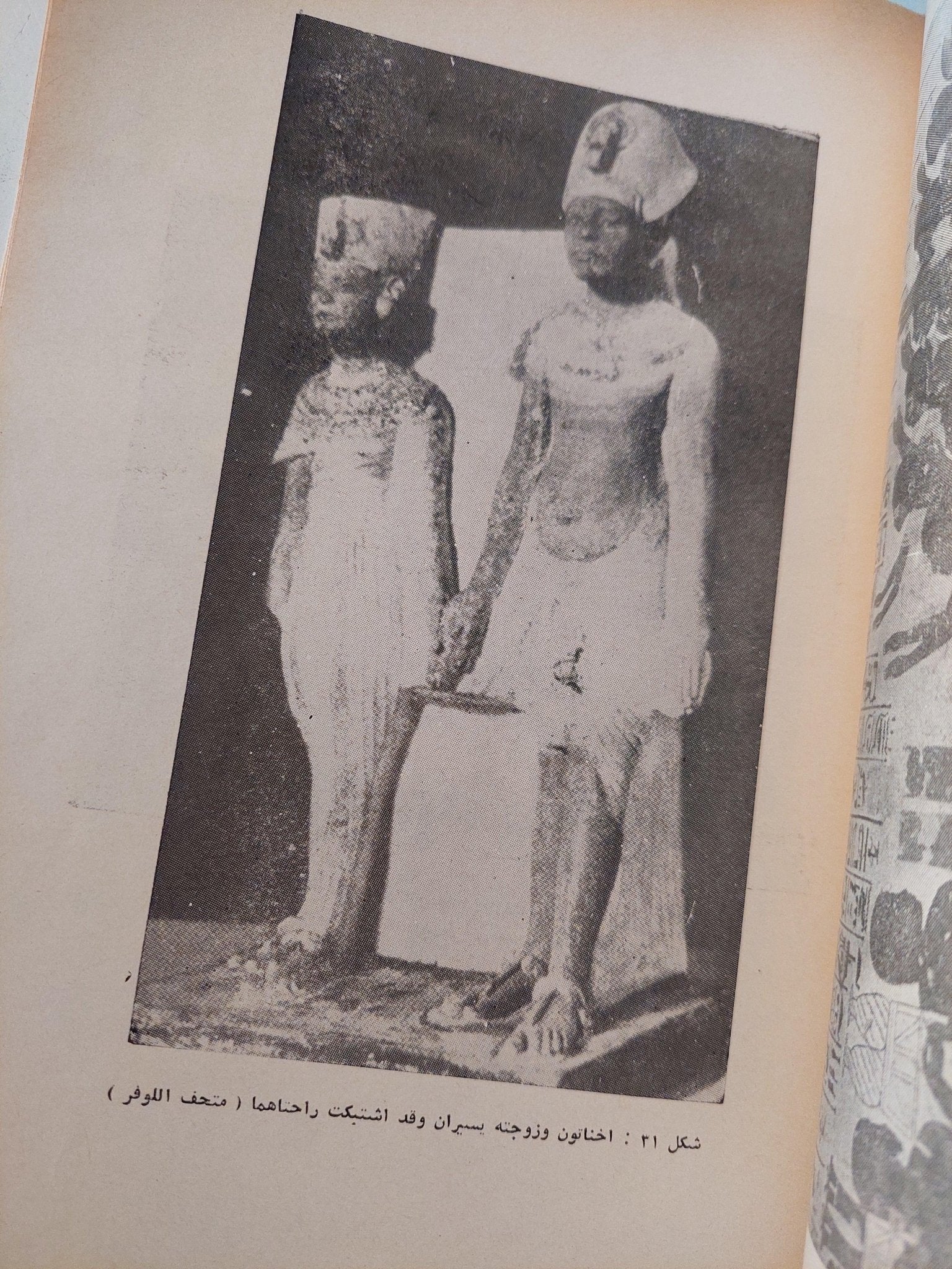 تاريخ التربية والتعليم في مصر / جزئين مع ملحق خاص للصور - متجر كتب مصر - متجر كتب مصر