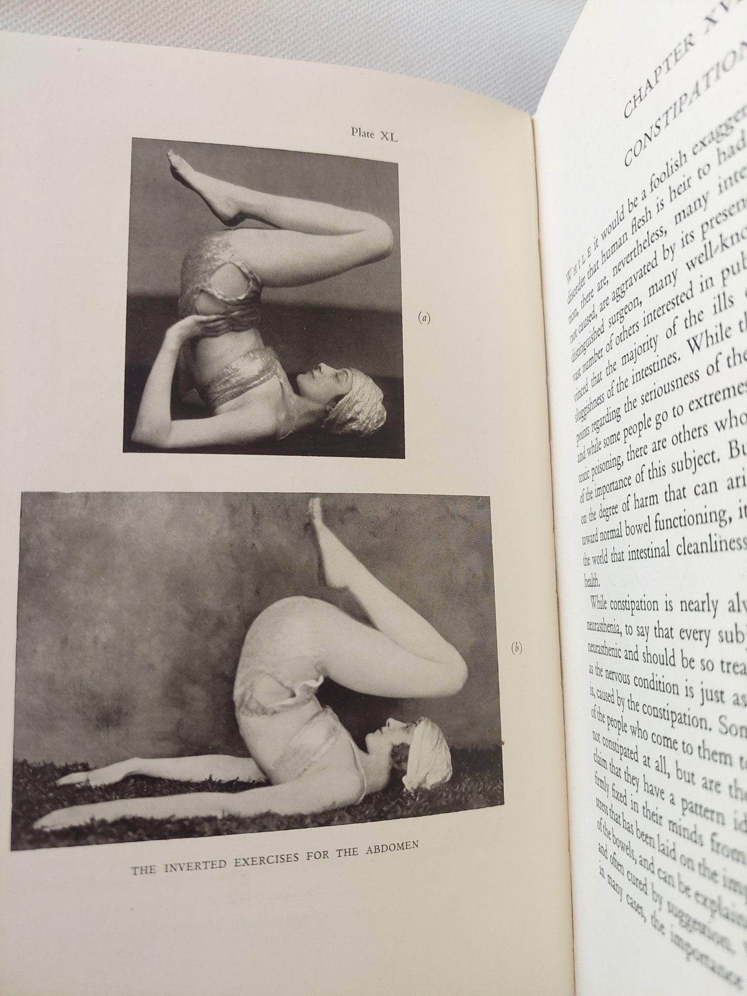 the art od the body / Marguerite Agniel - هارد كفر ملحق بالصور - متجر كتب مصر - متجر كتب مصر