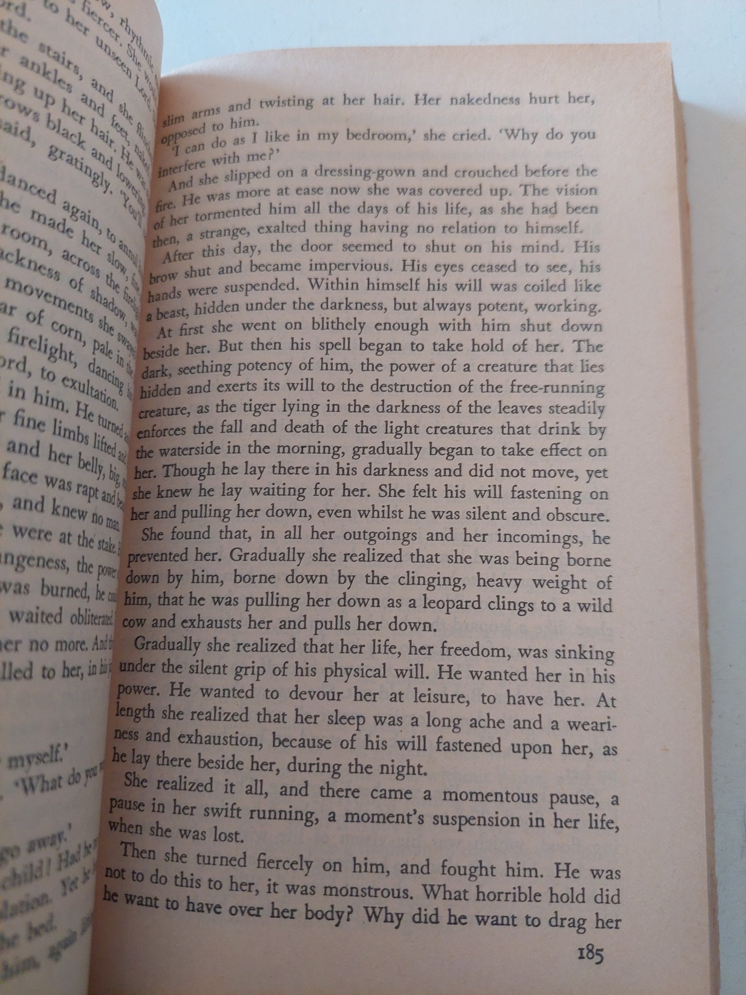 the Rainbow / D. H. Lawrence - متجر كتب مصر - متجر كتب مصر